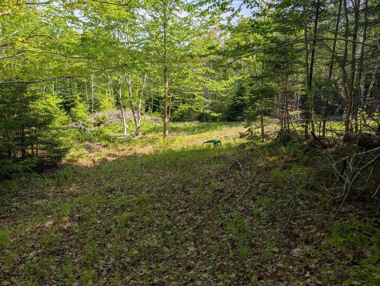 $74,000.00: 0 Penny Lane, St. Andrews Channel