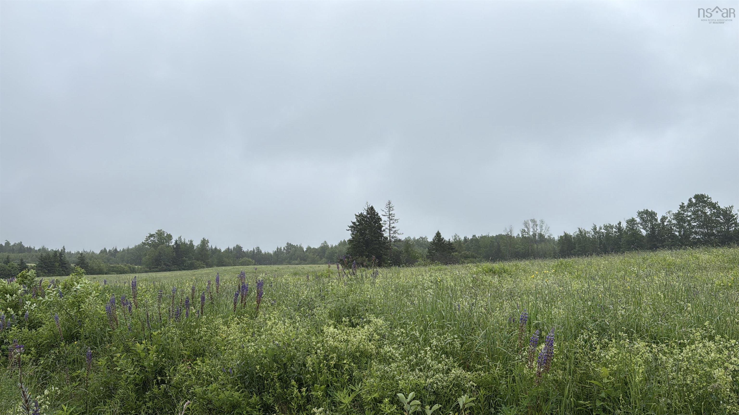 Wallie Mingo Road, Keeble, NS (MLS® 202615521)