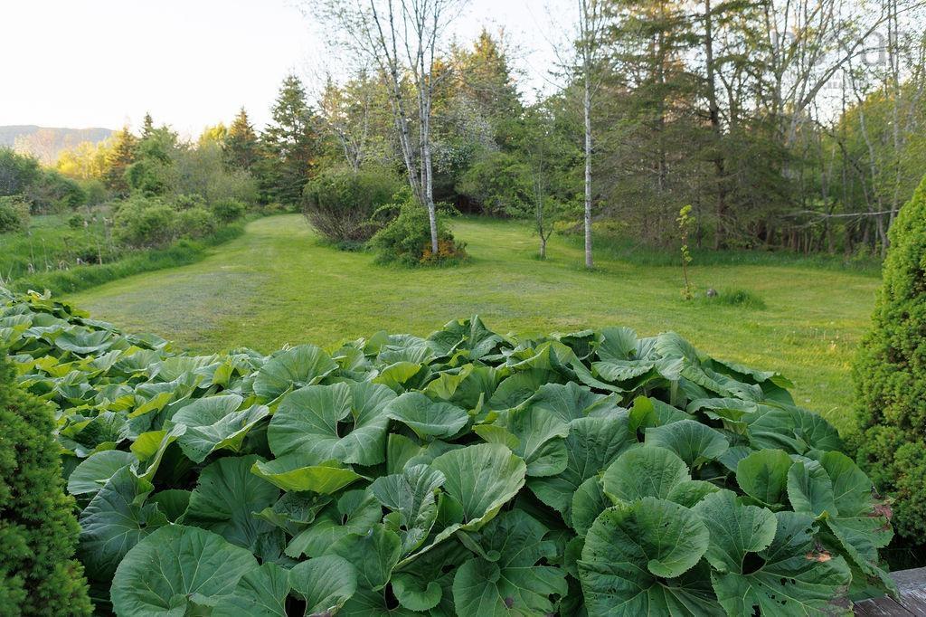 $1,998,000.00: 494 St George Street, Annapolis Royal