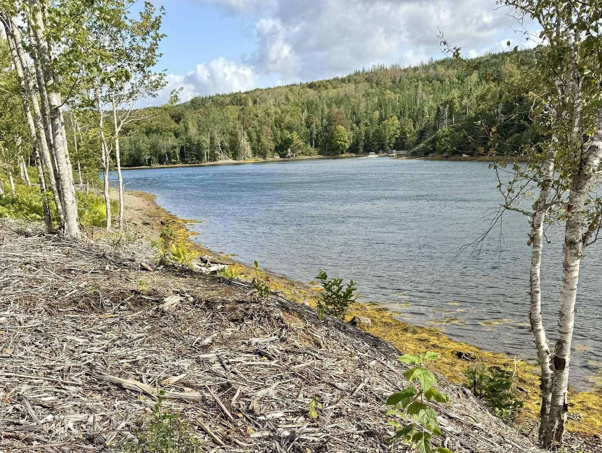 $137,000.00: Lot 2-1 Antigonish Guysborough Road, Lesterdale