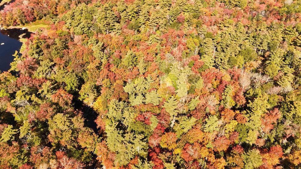 $79,000.00: BR-4 Bowers Road, Lower Ohio