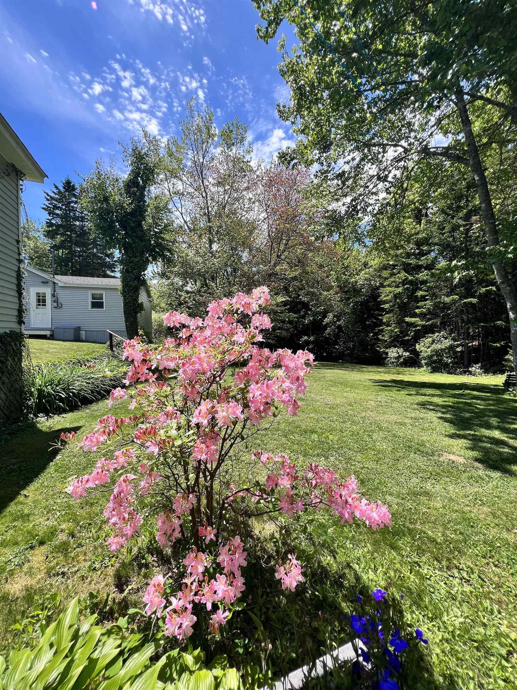 10133 St Margarets Bay Road, Hubbards, NS (MLS® 202615643)