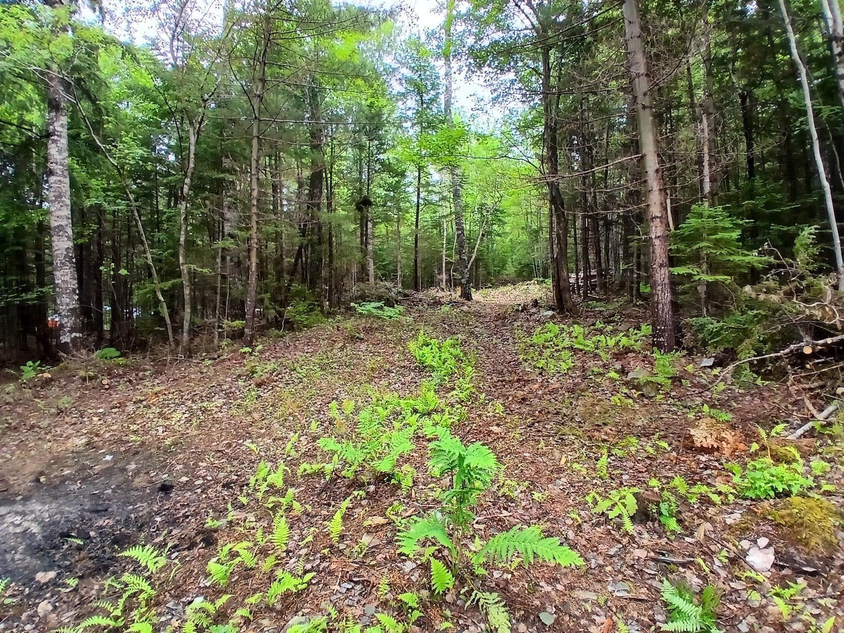 $29,900.00: Northfield Road, Upper Northfield
