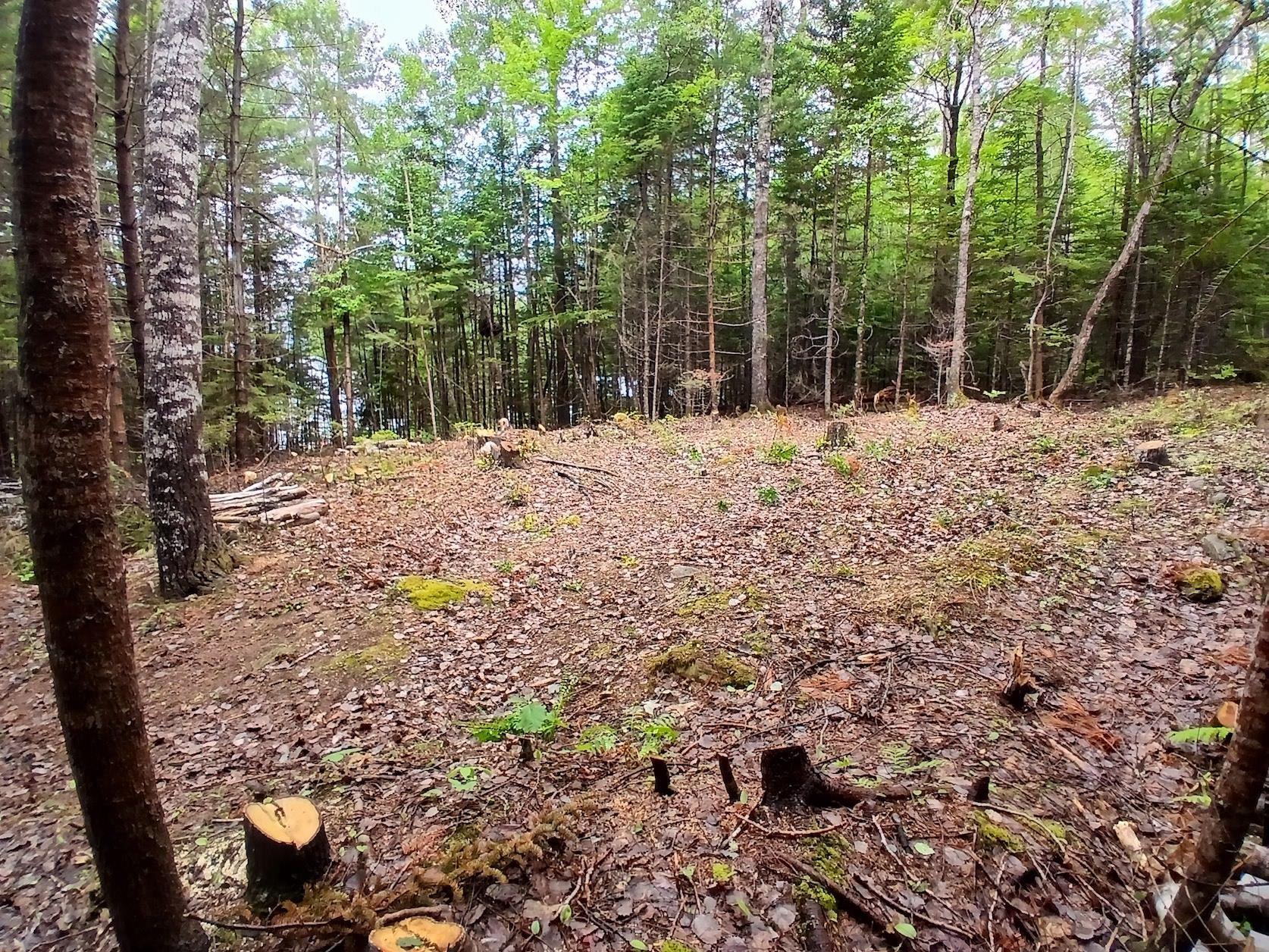 $29,900.00: Northfield Road, Upper Northfield