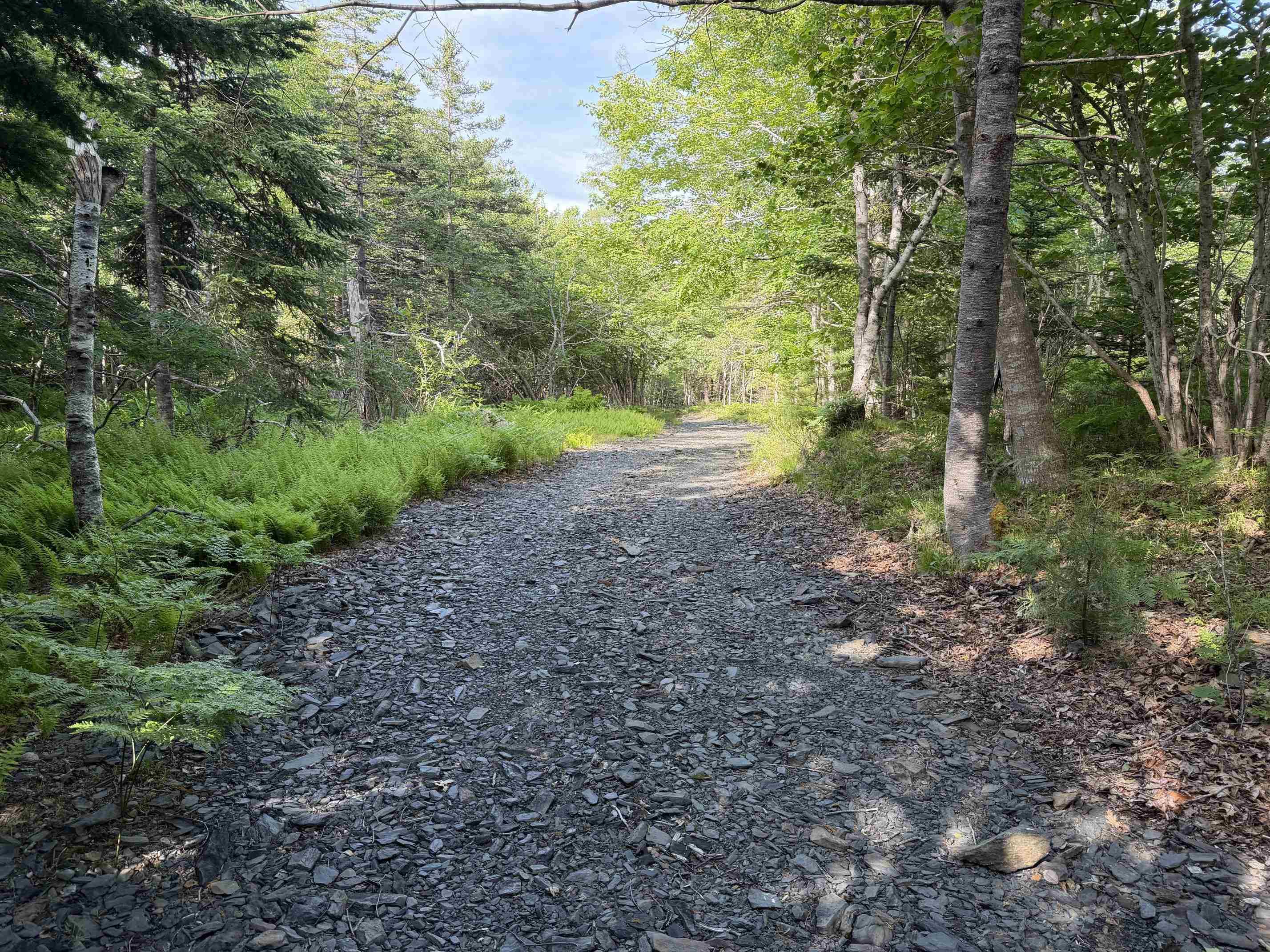 $34,000.00: Lot 7 Huey Lake Road, Mount Pleasant