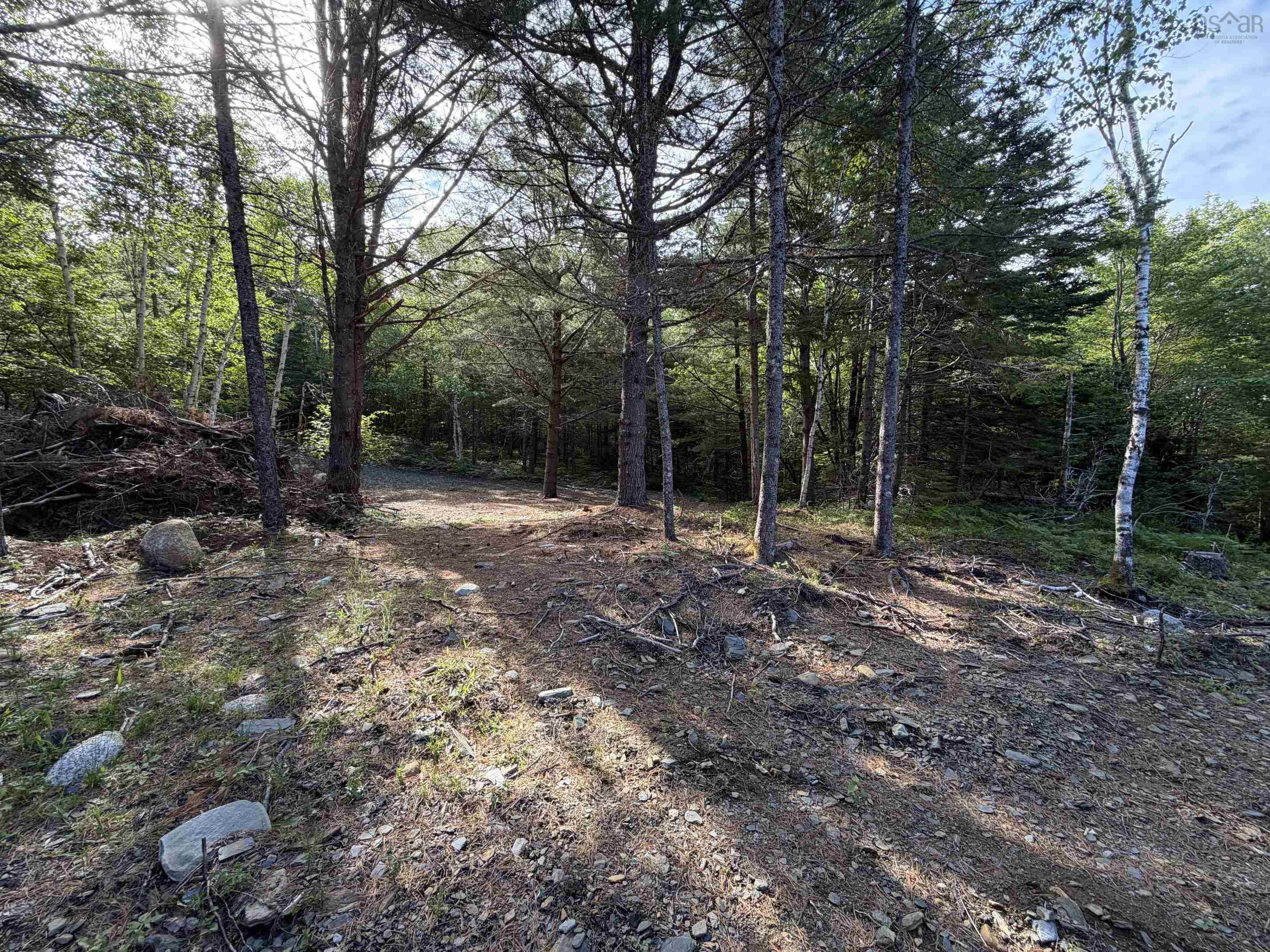 $34,000.00: Lot 7 Huey Lake Road, Mount Pleasant