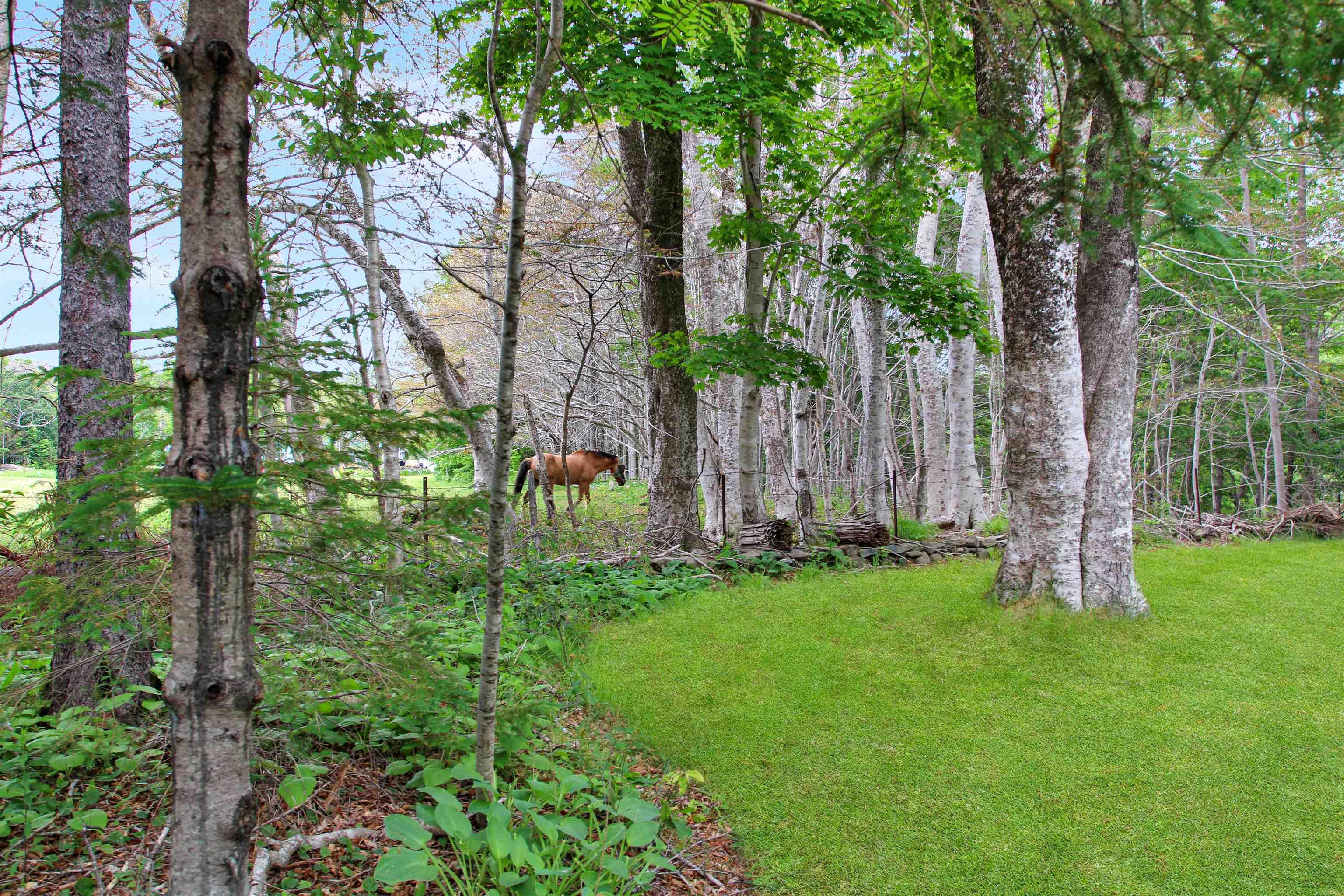 $349,000.00: 550 Allee Des Black, Bangor