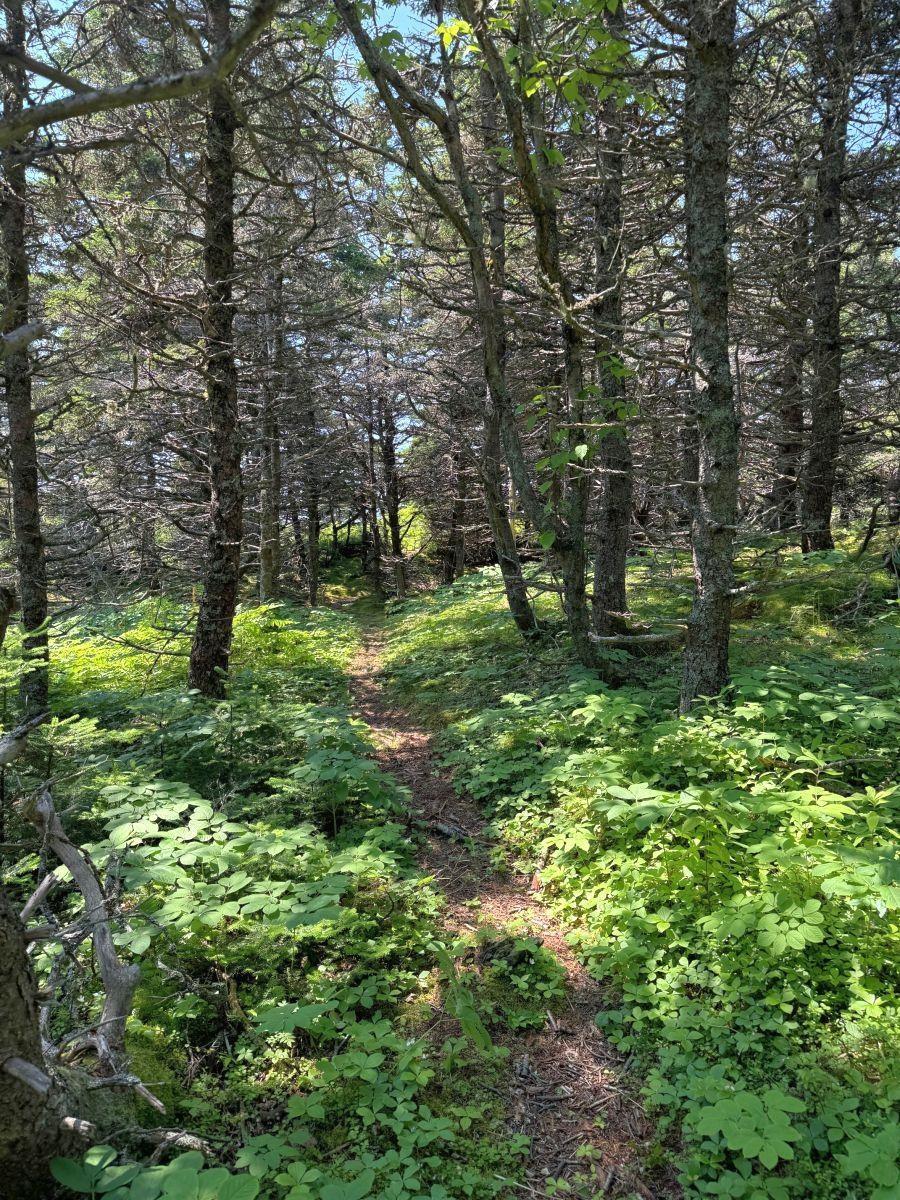 $390,000.00: 1-8 Cape Auguet Road, Arichat
