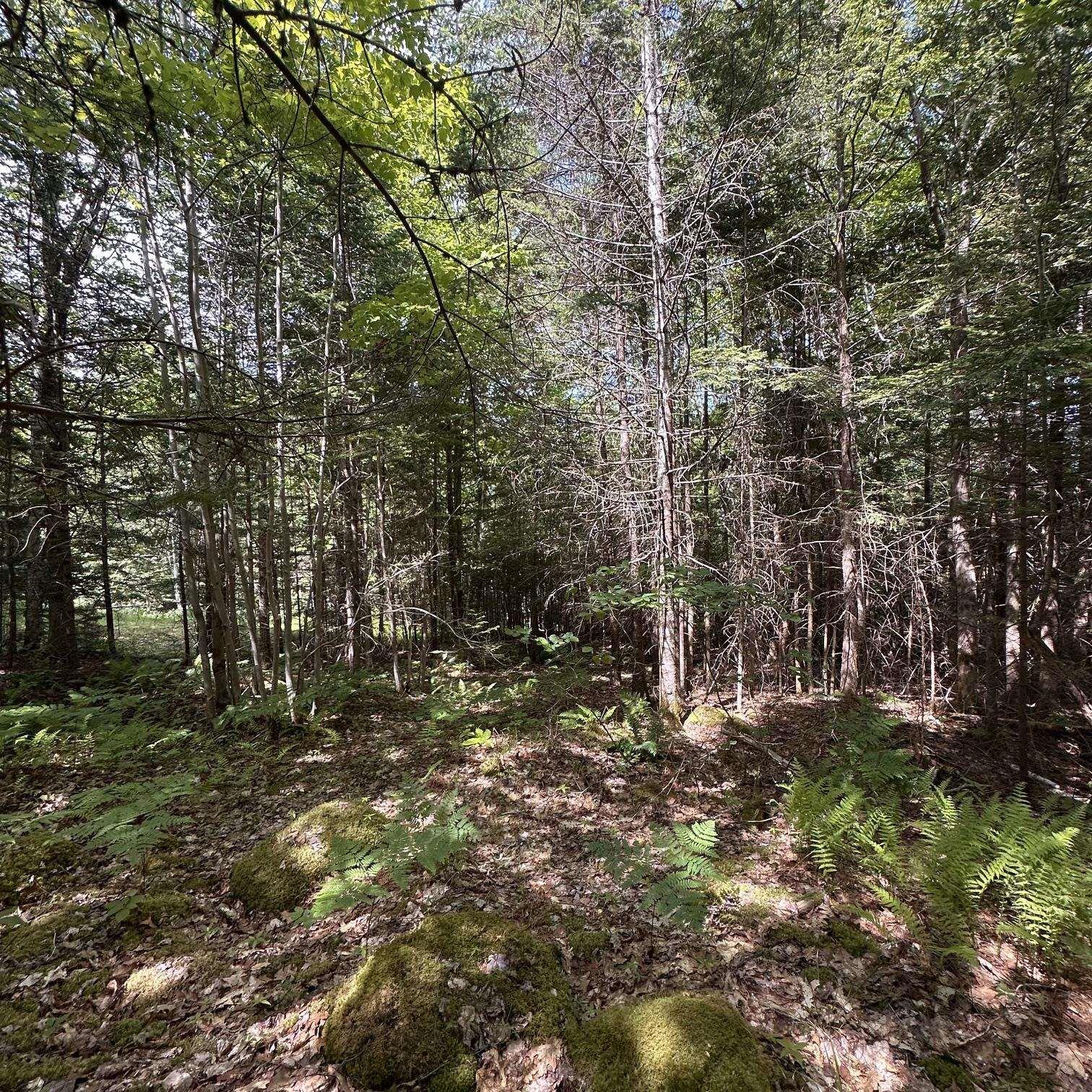 $75,000.00: Lot 7 Rhodenizer Lake Road, Dayspring