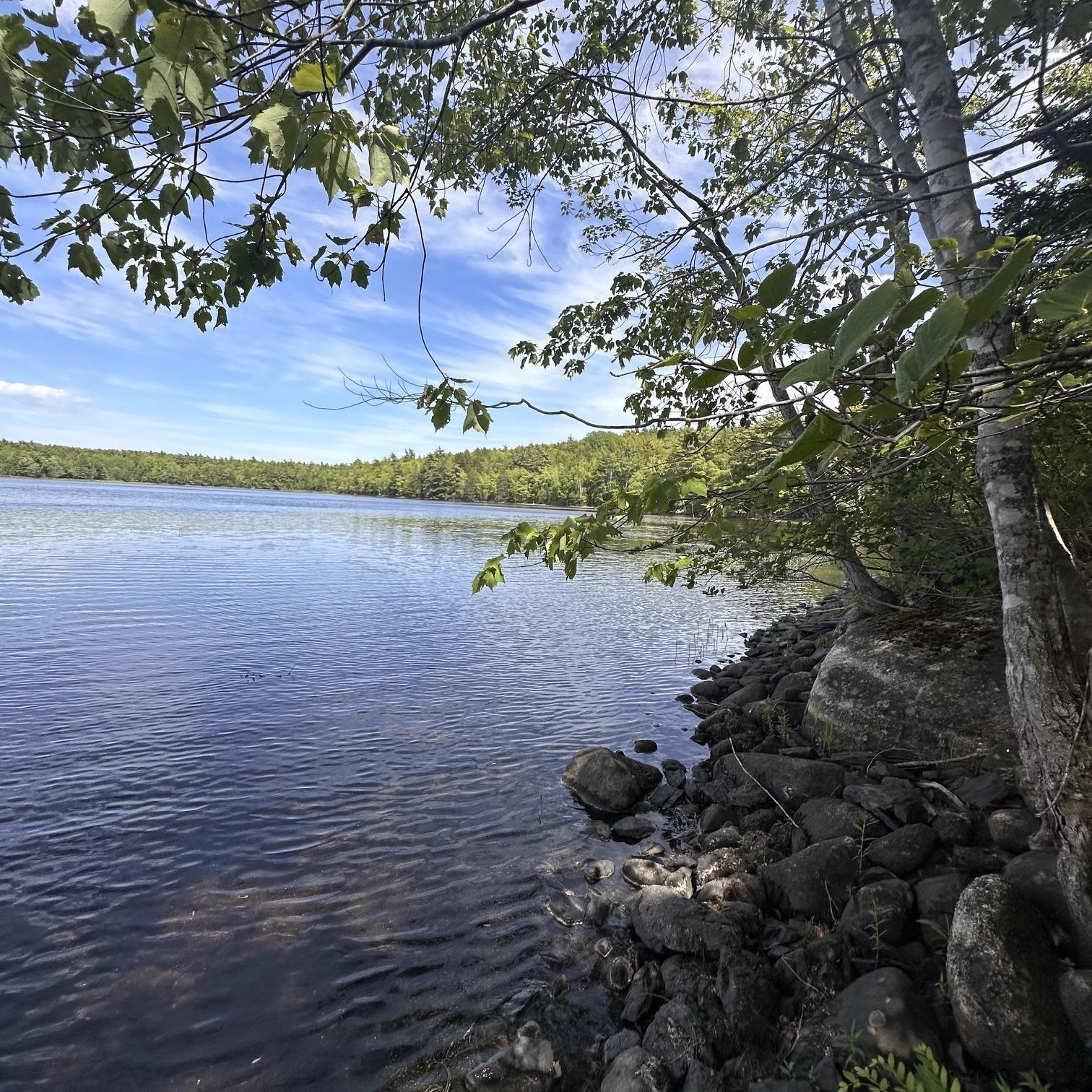 $75,000.00: Lot 7 Rhodenizer Lake Road, Dayspring