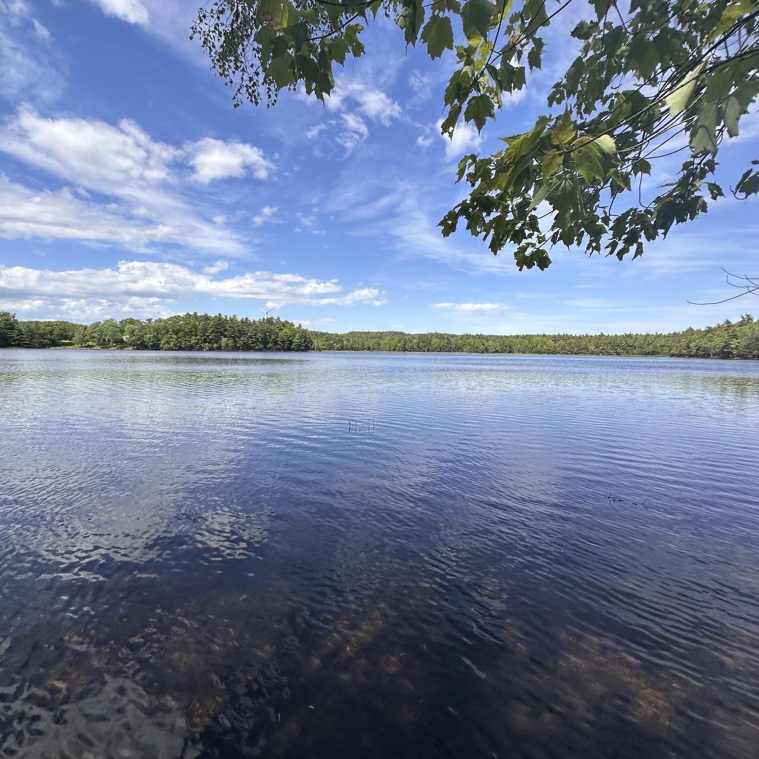 $75,000.00: Lot 7 Rhodenizer Lake Road, Dayspring