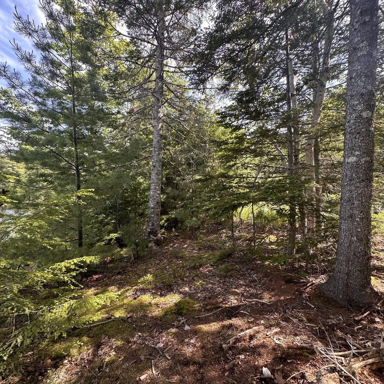 $75,000.00: Lot 7 Rhodenizer Lake Road, Dayspring