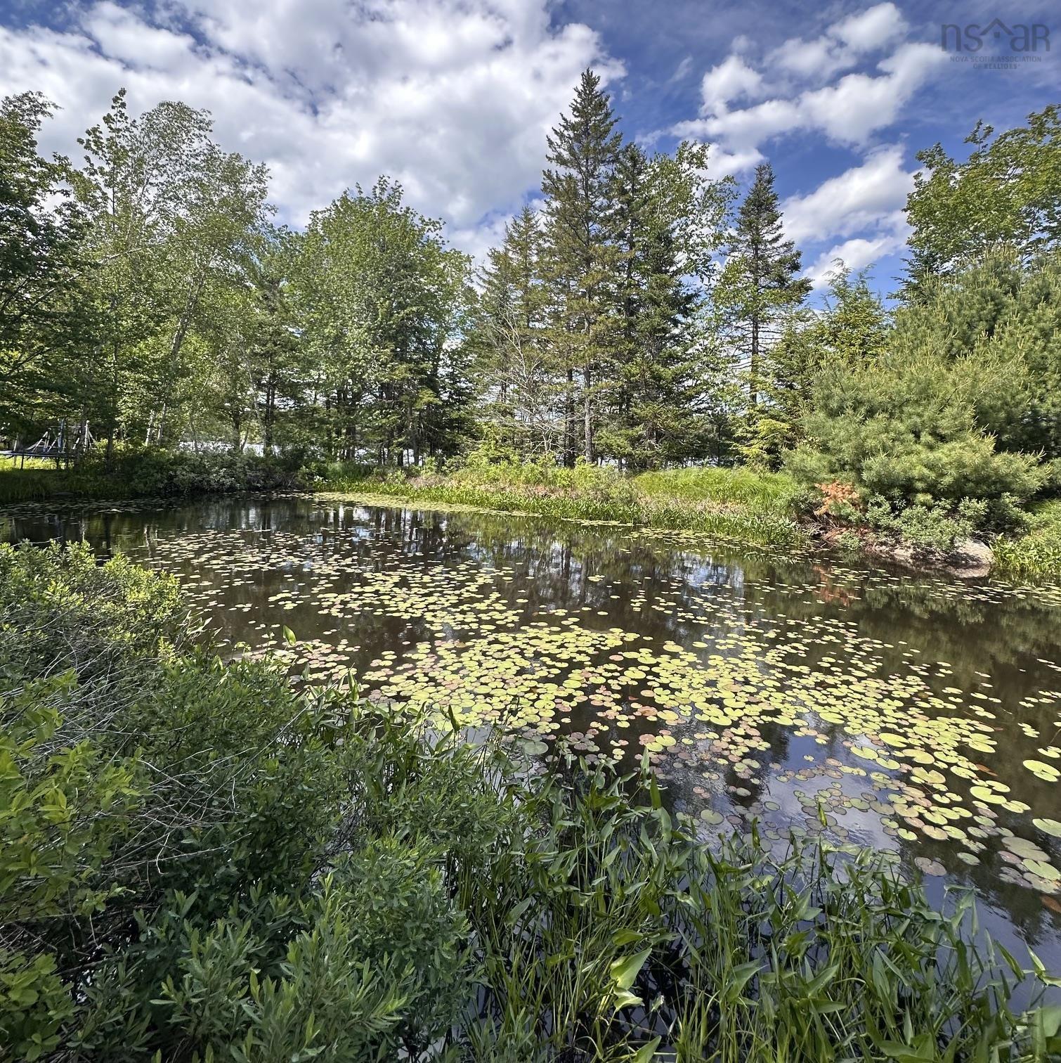 $75,000.00: Lot 7 Rhodenizer Lake Road, Dayspring