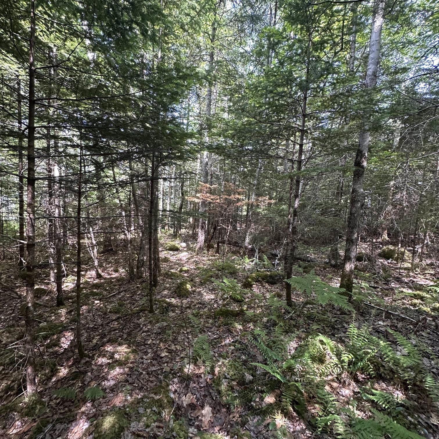 $75,000.00: Lot 7 Rhodenizer Lake Road, Dayspring