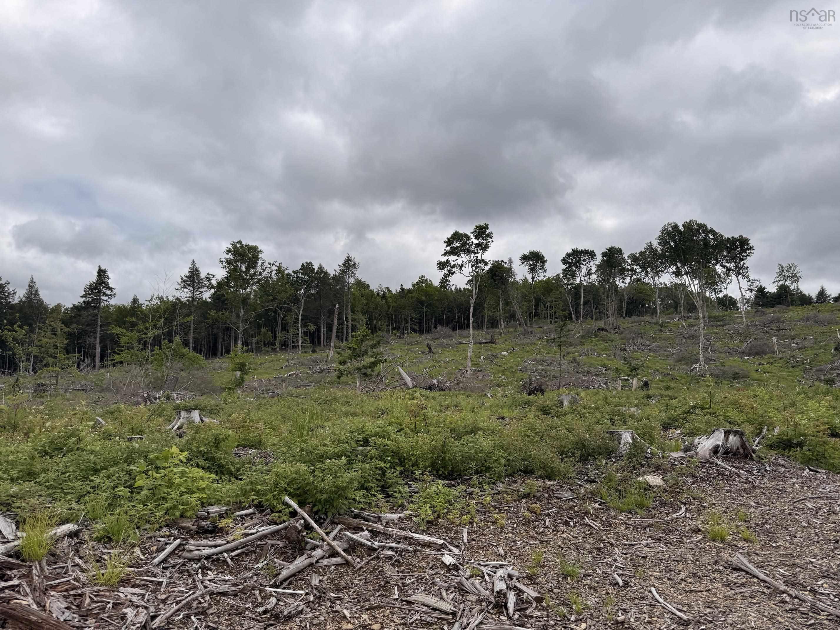 $162,000.00: Lot 1 Big Lots Road, Blockhouse
