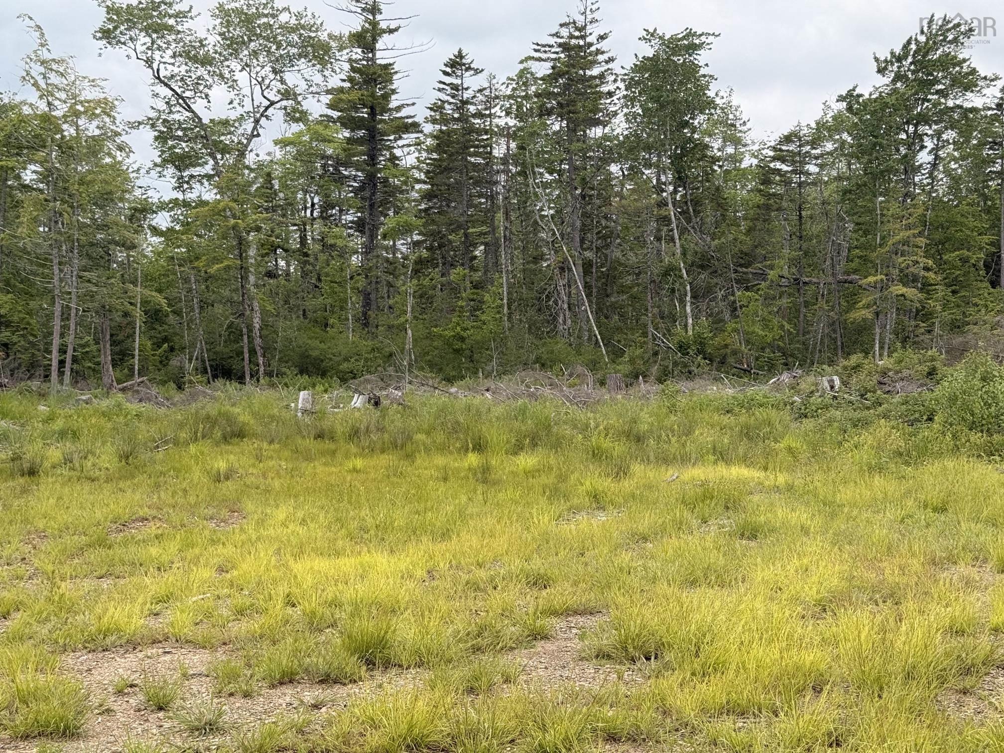 $162,000.00: Lot 1 Big Lots Road, Blockhouse