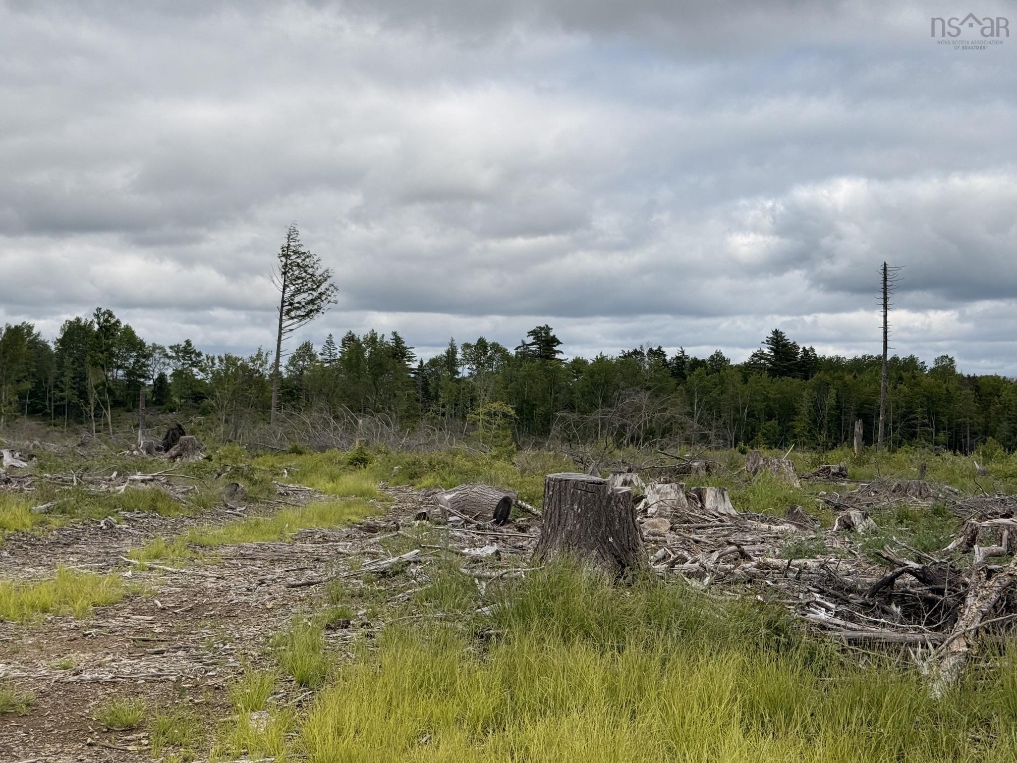 $162,000.00: Lot 1 Big Lots Road, Blockhouse