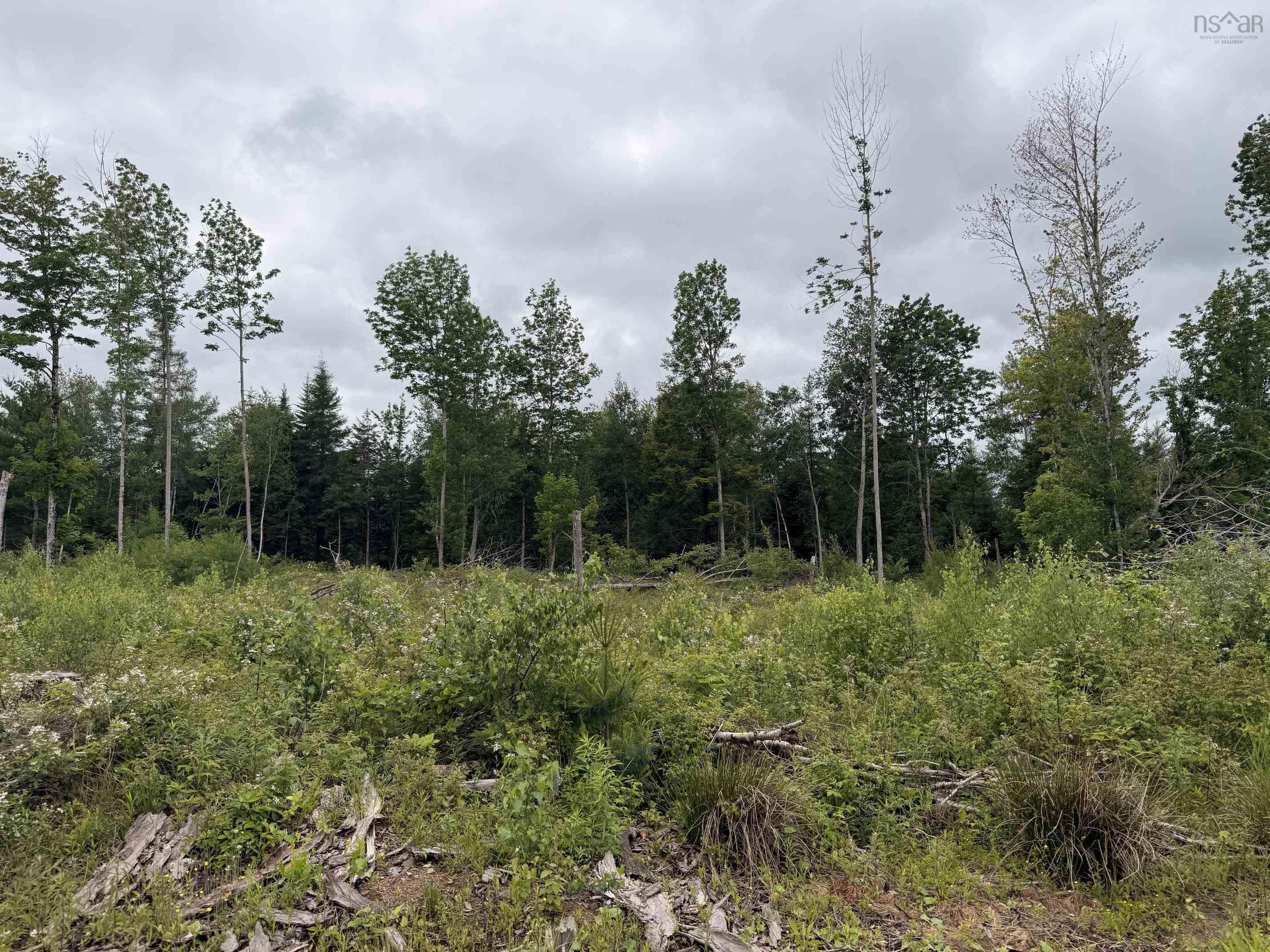 $162,000.00: Lot 1 Big Lots Road, Blockhouse
