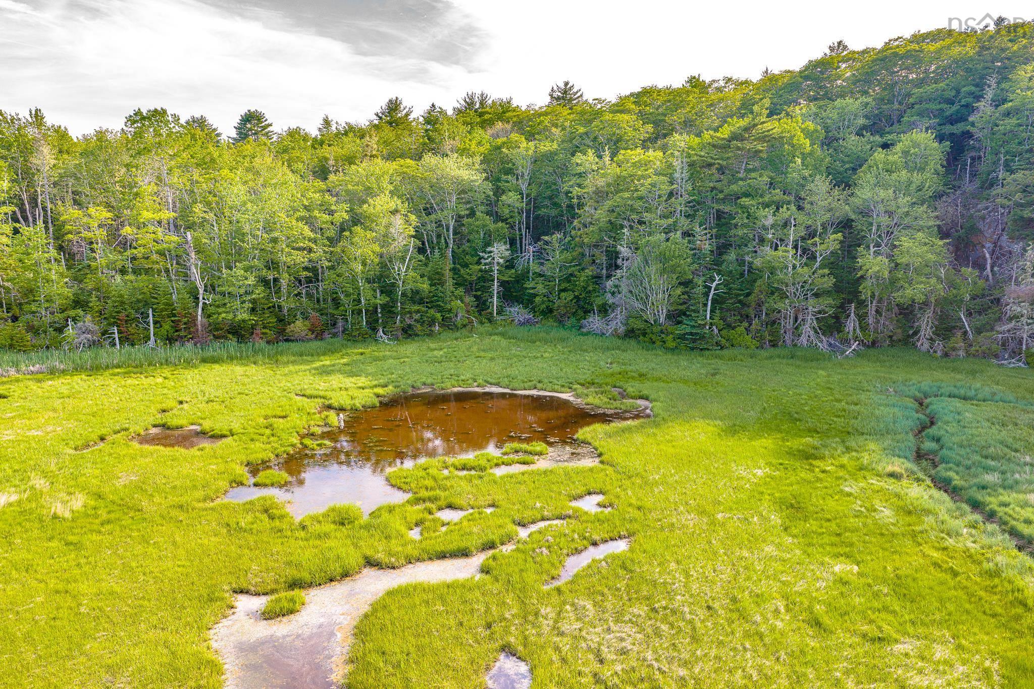$55,000.00: Lot 2 Jordan Branch Road, Jordan Branch