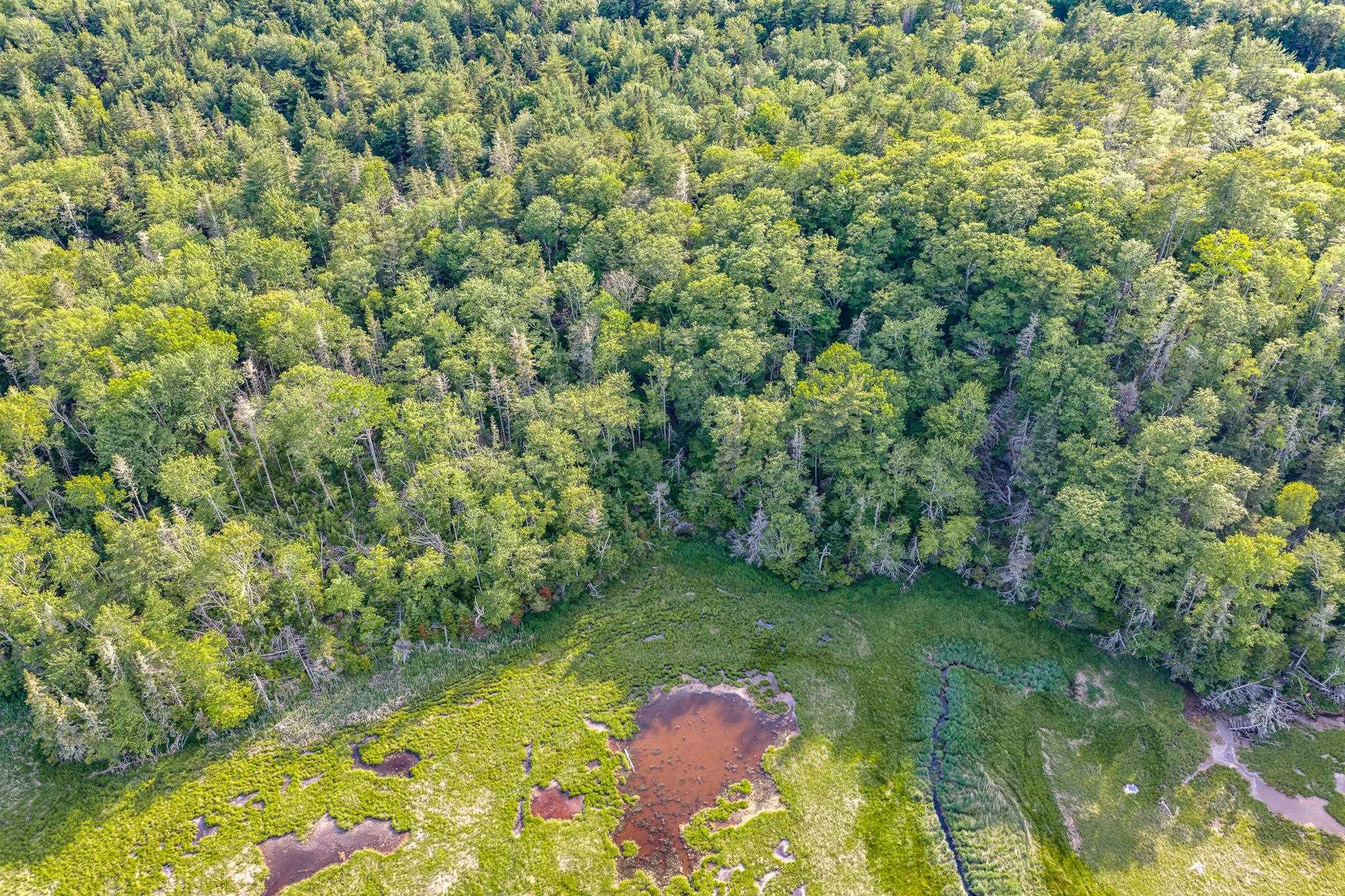 $55,000.00: Lot 2 Jordan Branch Road, Jordan Branch