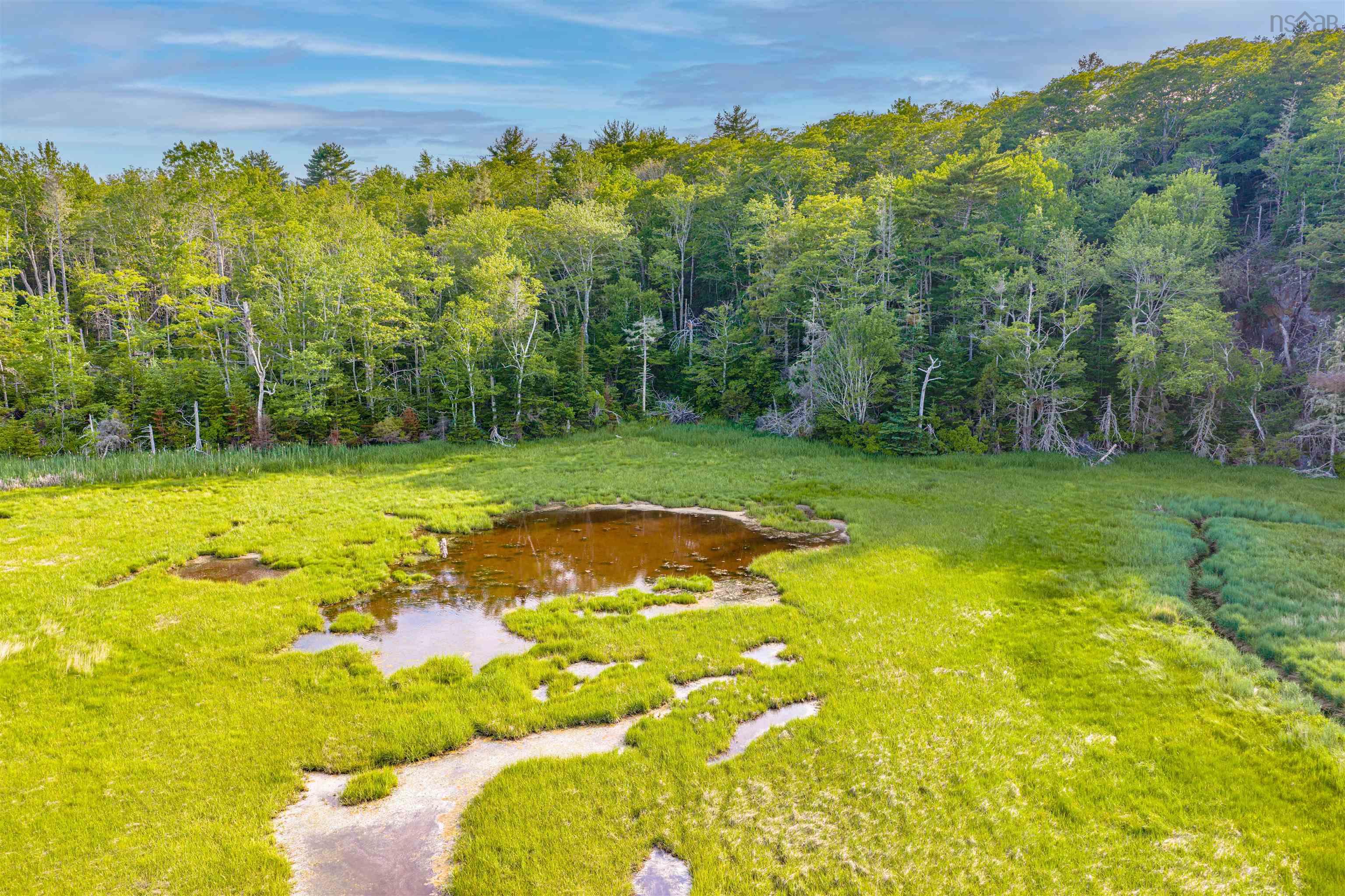 $55,000.00: Lot 2 Jordan Branch Road, Jordan Branch