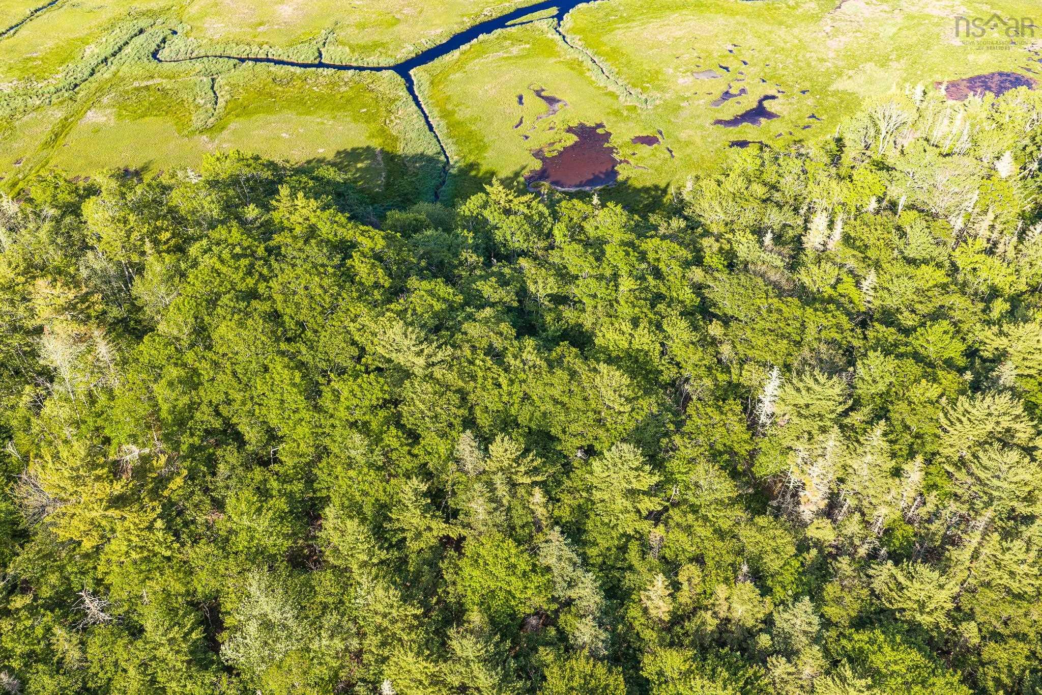 $55,000.00: Lot 2 Jordan Branch Road, Jordan Branch