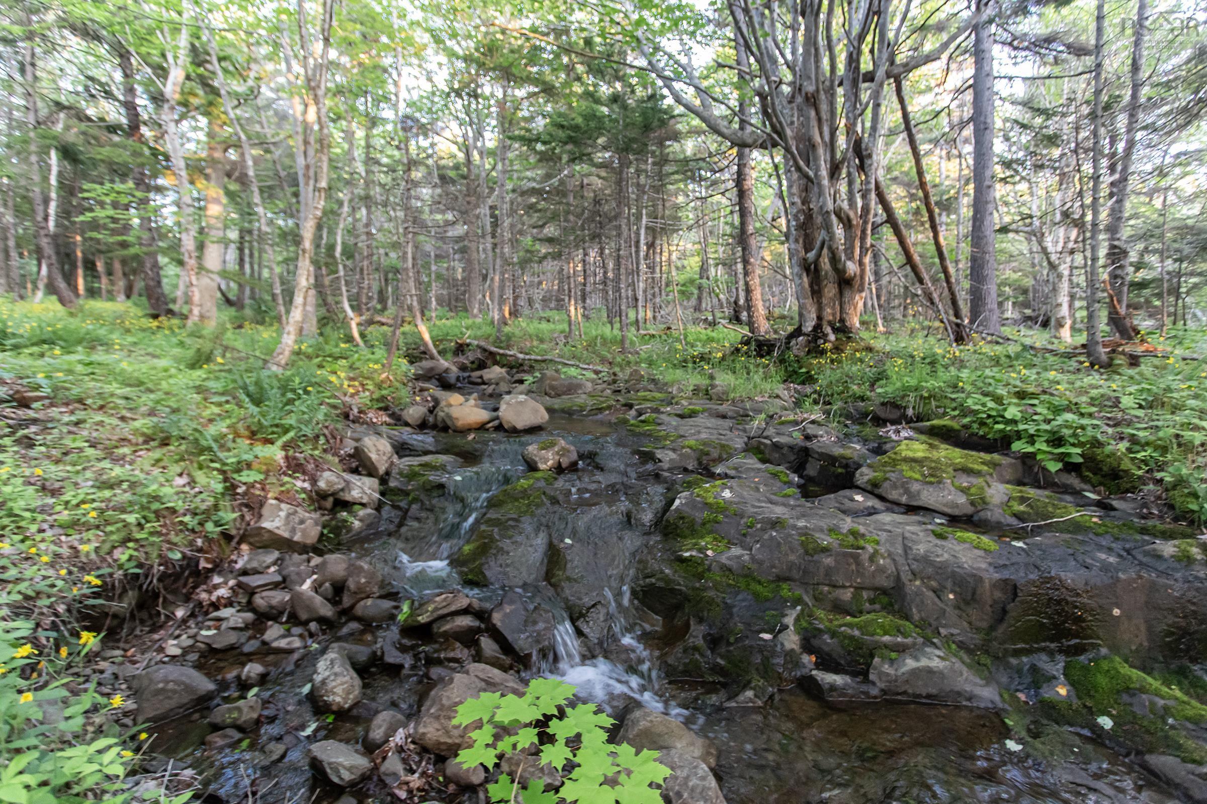$899,000.00: 6671 Shore Road W, Youngs Cove