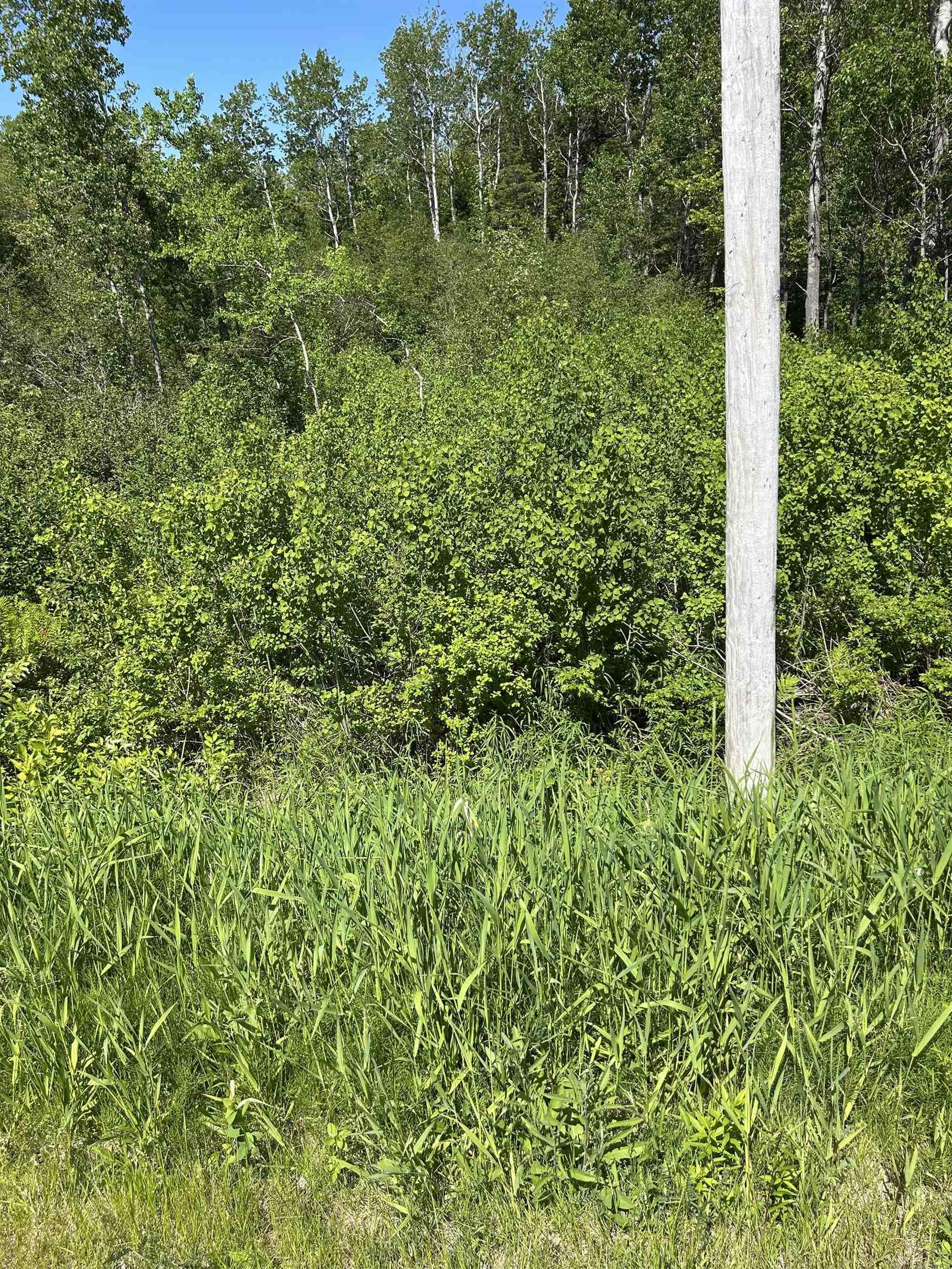 $24,900.00: Lot 2 Stewood Drive, Sydney River