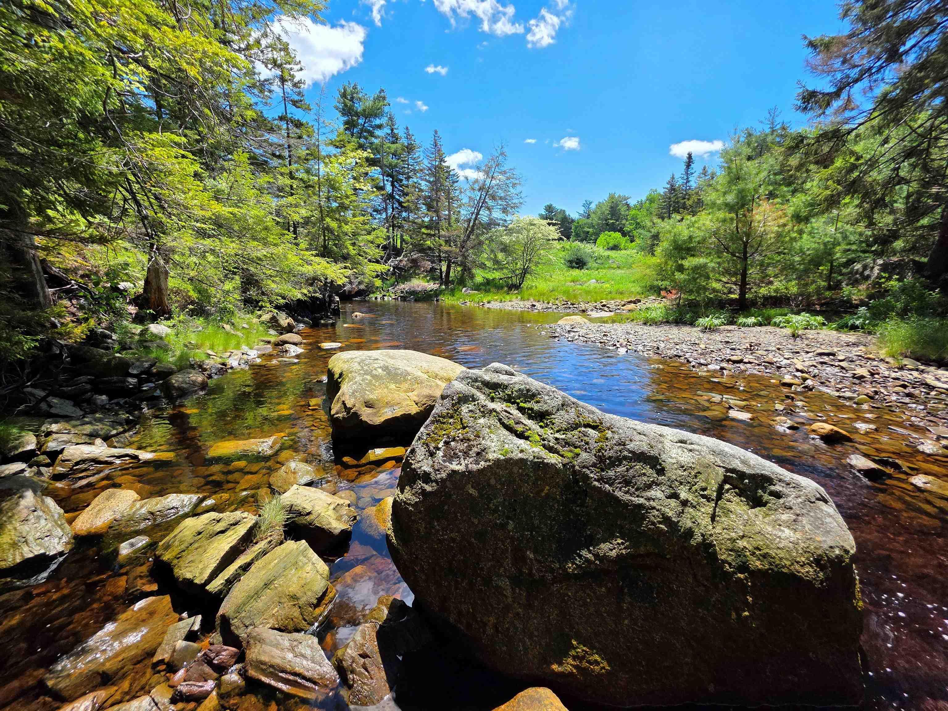 $1,295,000.00: 2515 Hwy 331, West Lahave