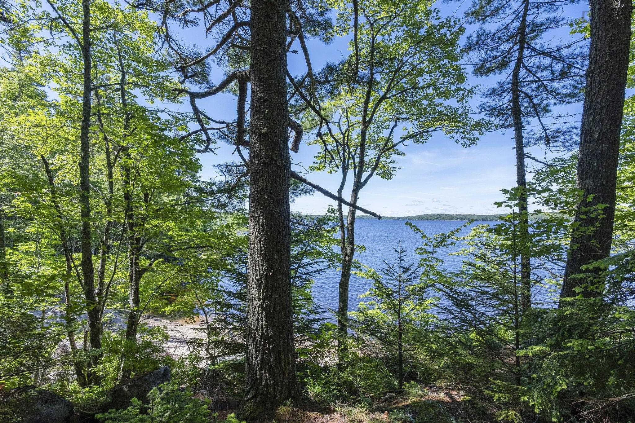 $425,000.00: 207 Middle Fork Road, Sherbrooke Lake