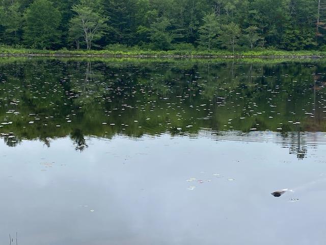 $89,900.00: 117 Shore Road, Walden