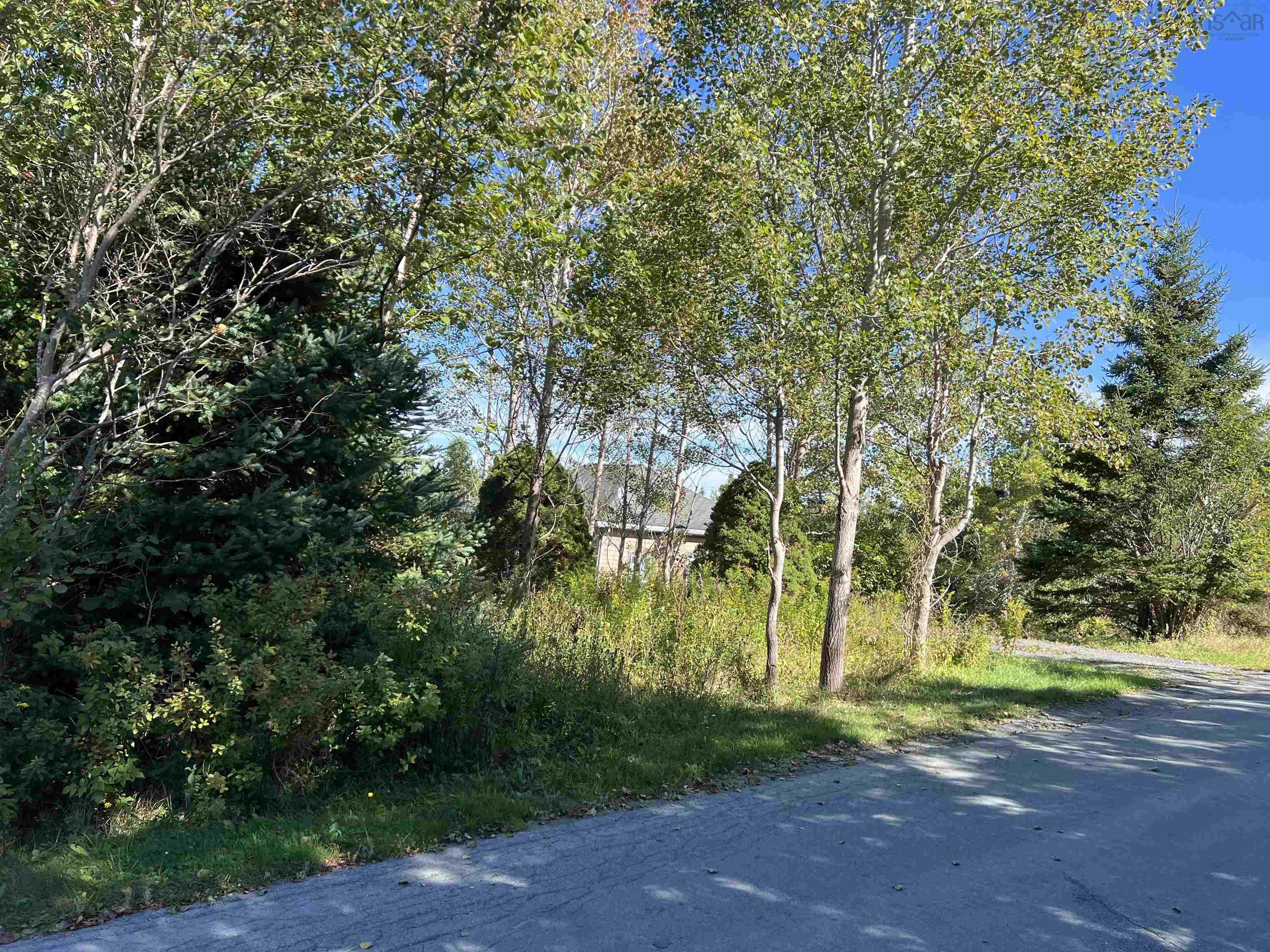 35 Rainbow Haven Drive, Cow Bay, NS (MLS 202615941)