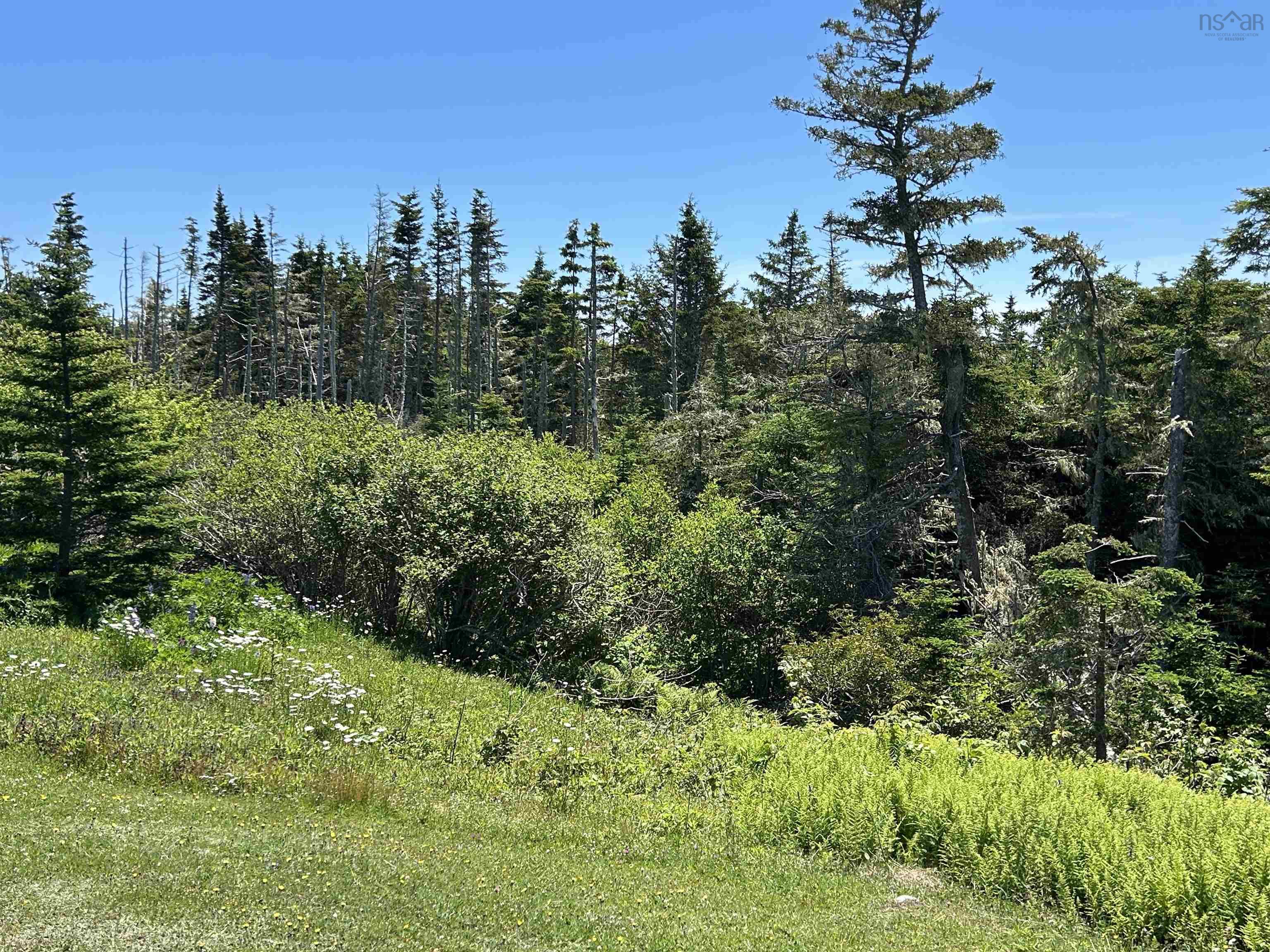$75,000.00: 1697 Route 330, Newellton