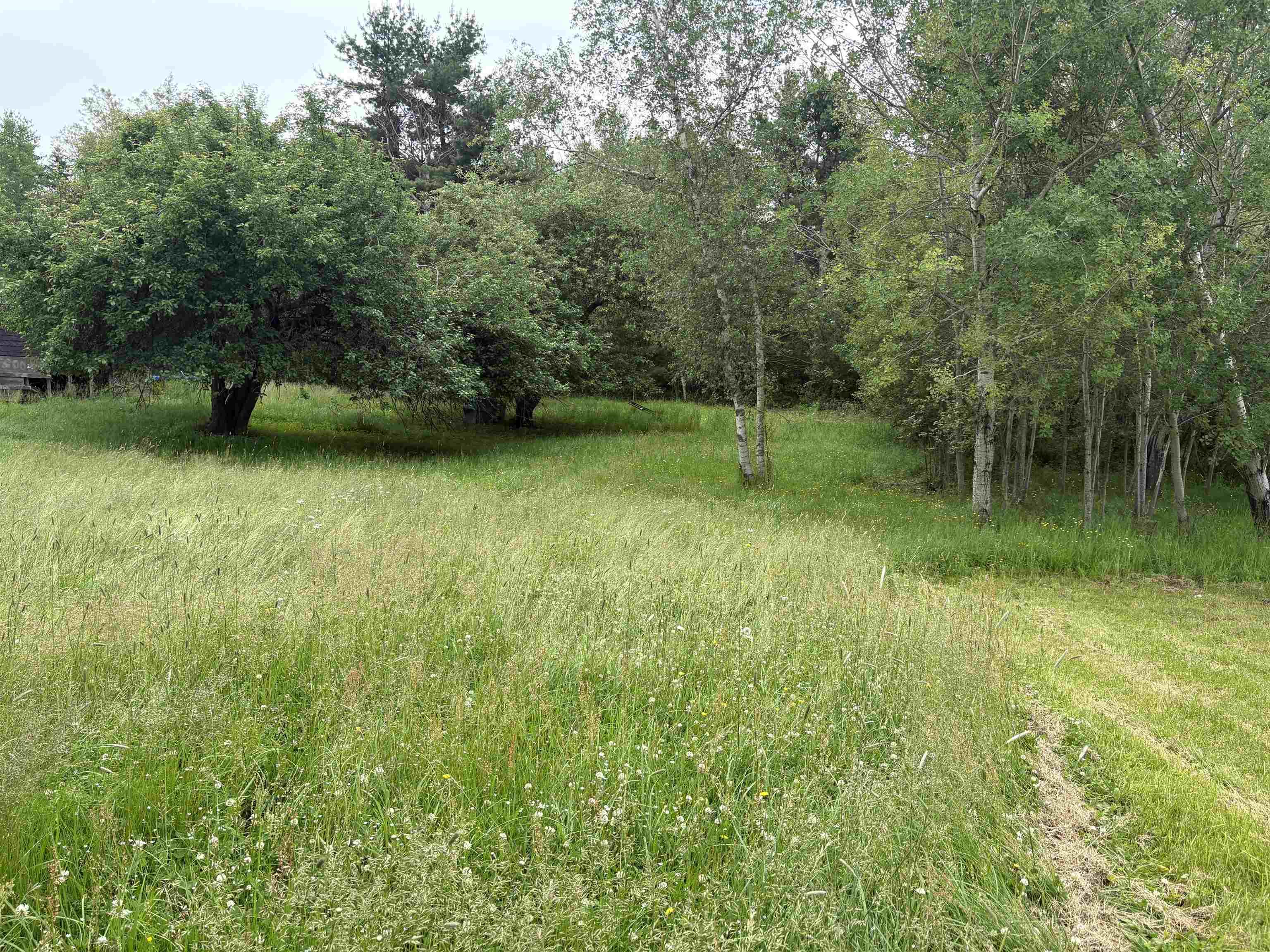 $42,000.00: 28 Priestville Loop, Priestville