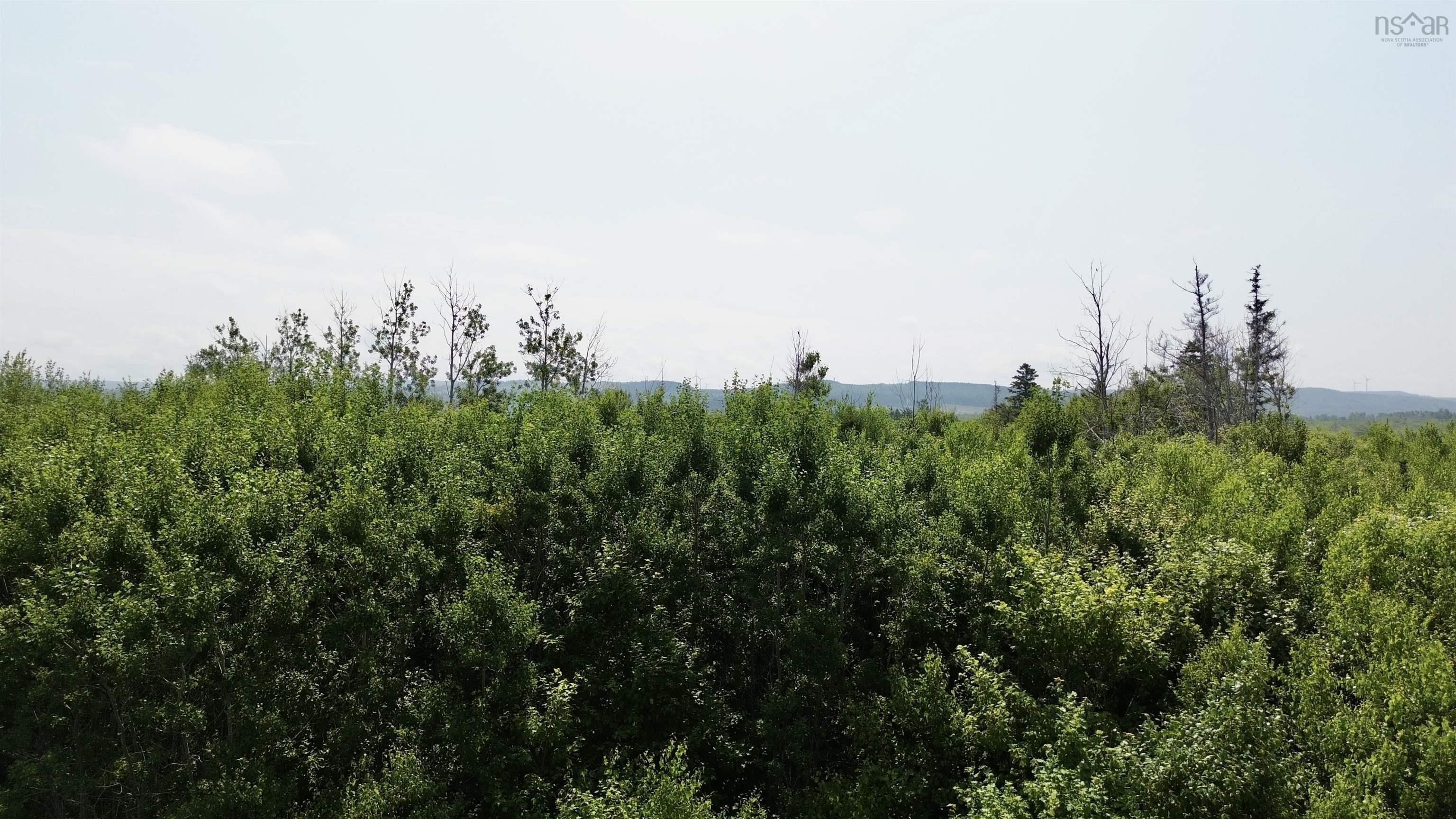 $104,000.00: lot 11 Red Rock Way Road, Lismore