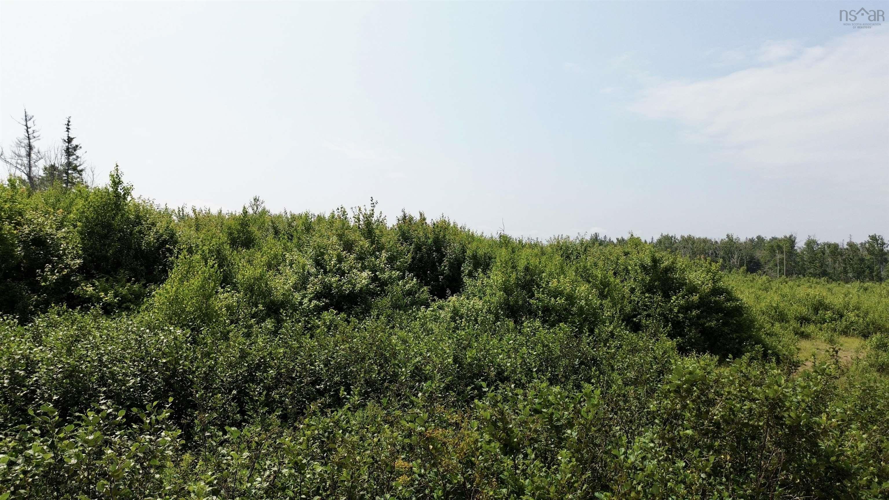 $104,000.00: lot 11 Red Rock Way Road, Lismore