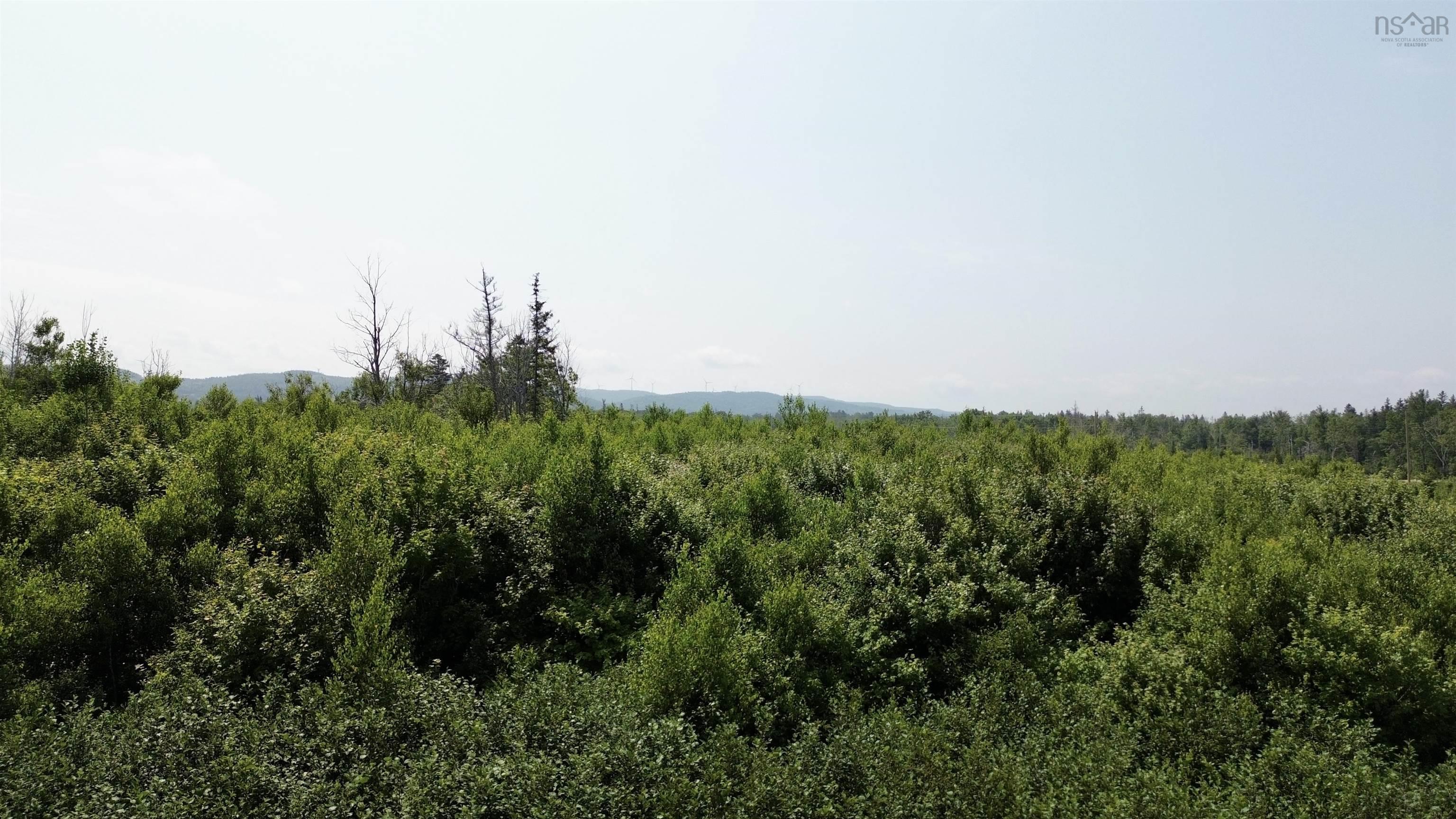 $104,000.00: lot 11 Red Rock Way Road, Lismore