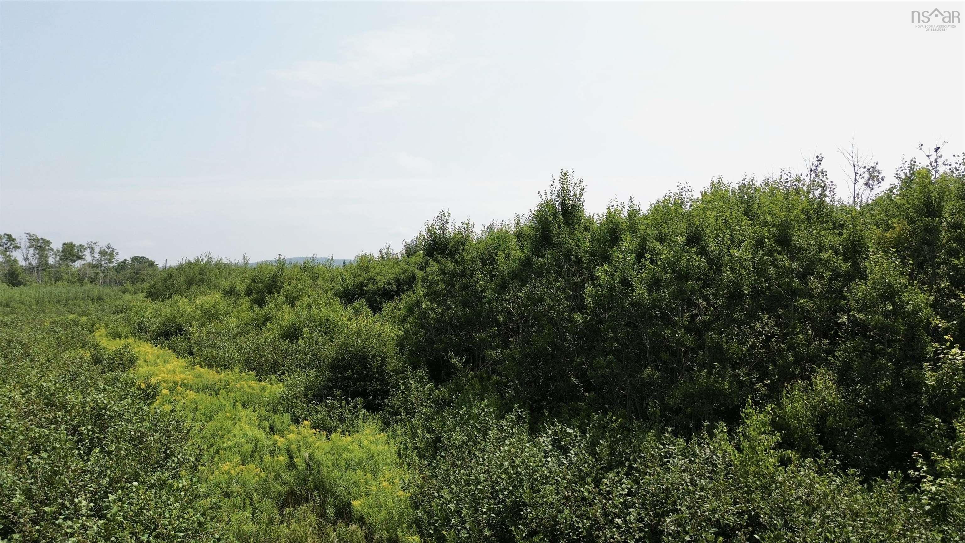 $104,000.00: lot 11 Red Rock Way Road, Lismore