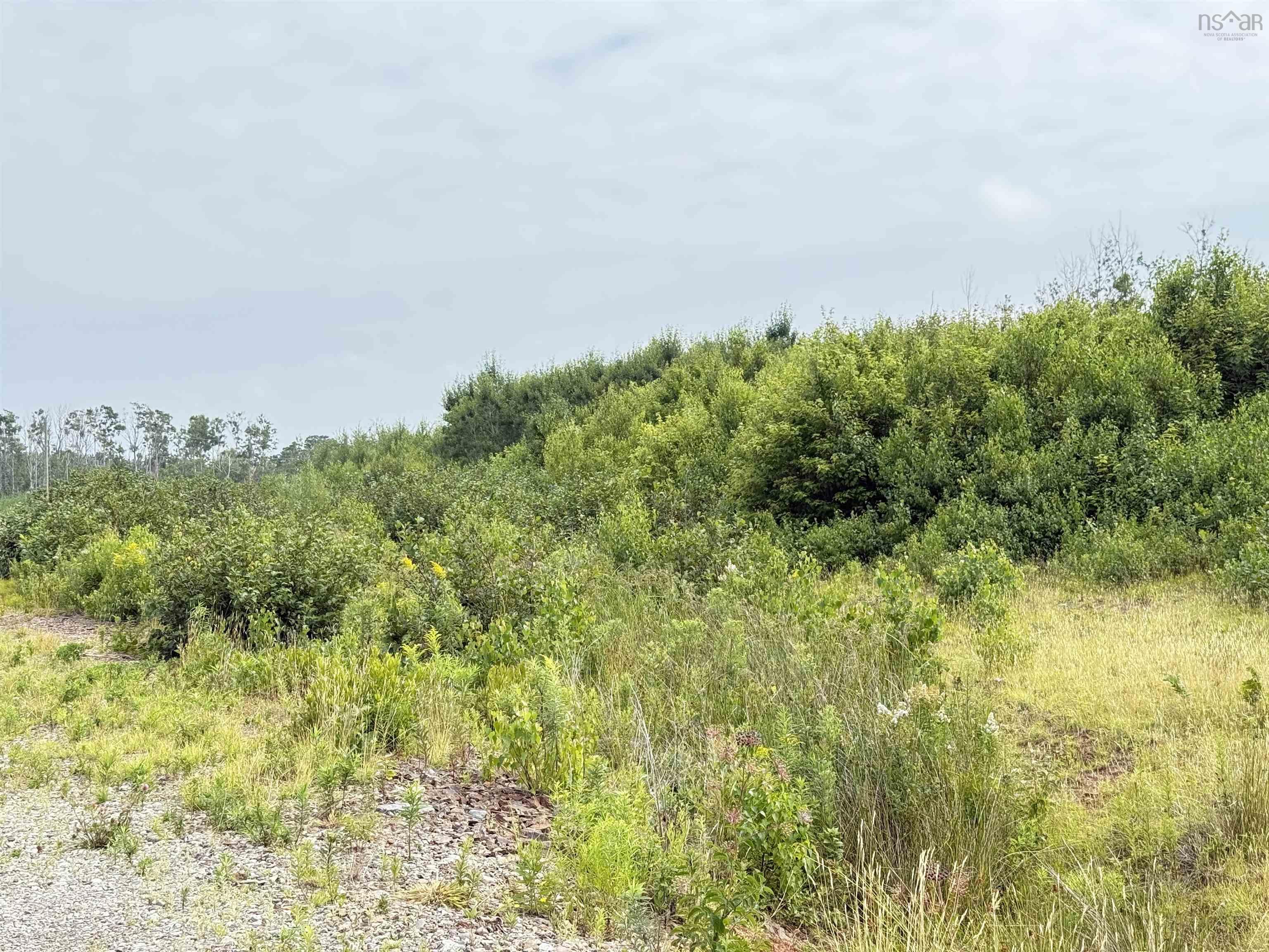 $99,000.00: lot 12 Red Rock Way Road, Lismore