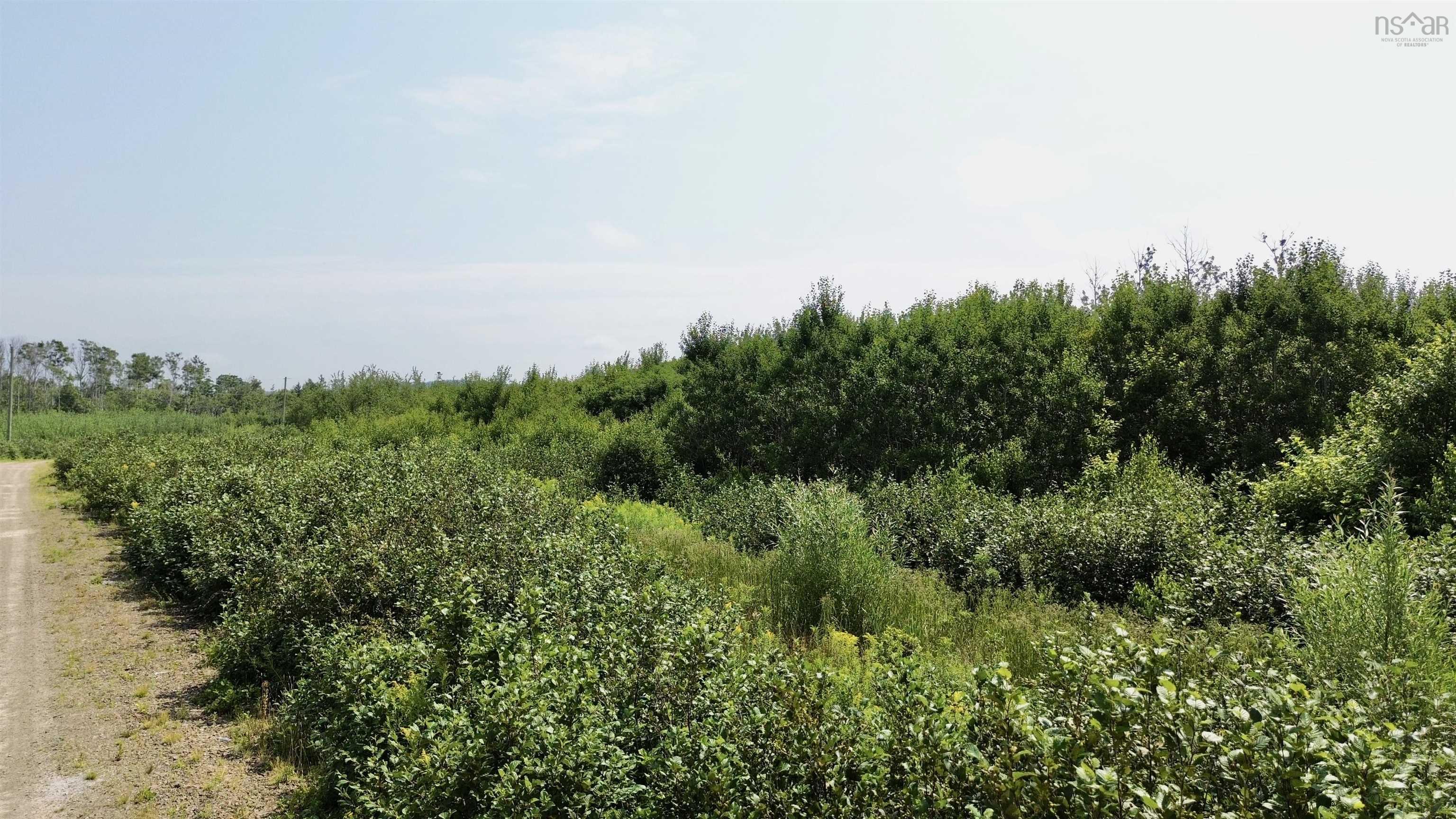$99,000.00: lot 12 Red Rock Way Road, Lismore