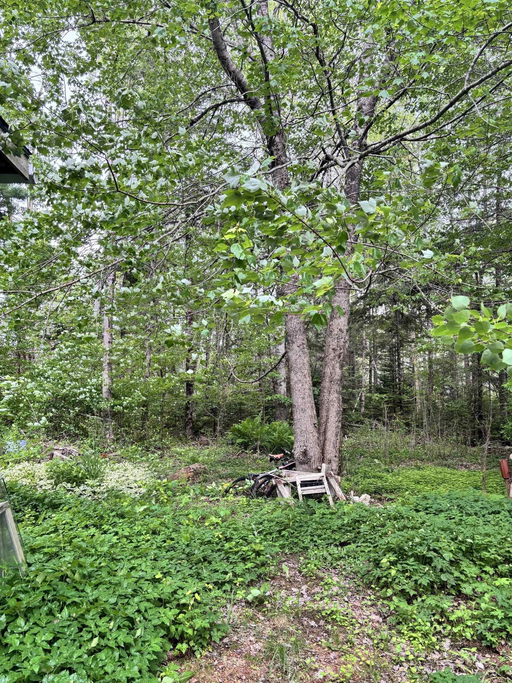 $79,900.00: 320 Charles Hill Road, Farmington
