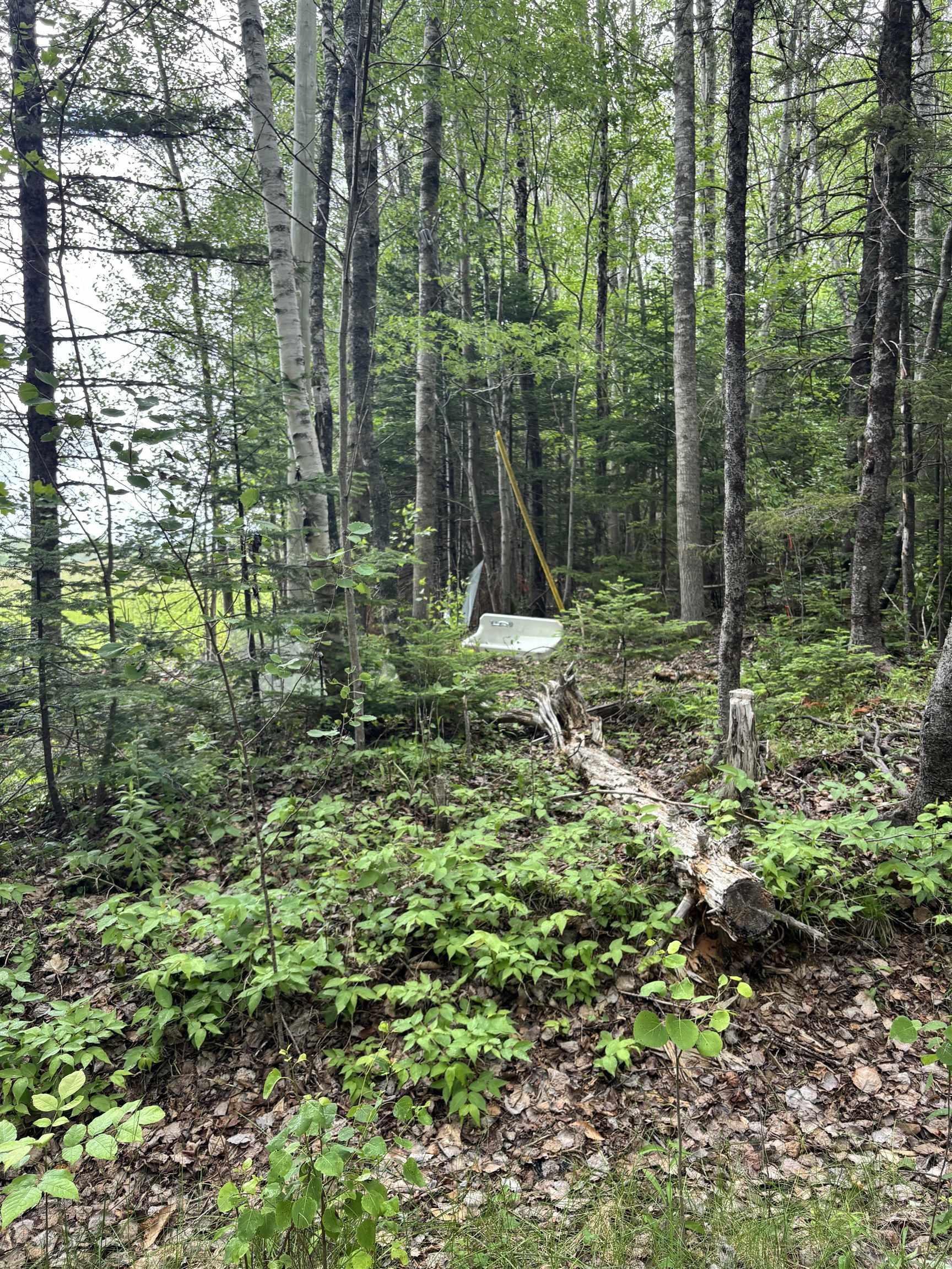 $79,900.00: 320 Charles Hill Road, Farmington