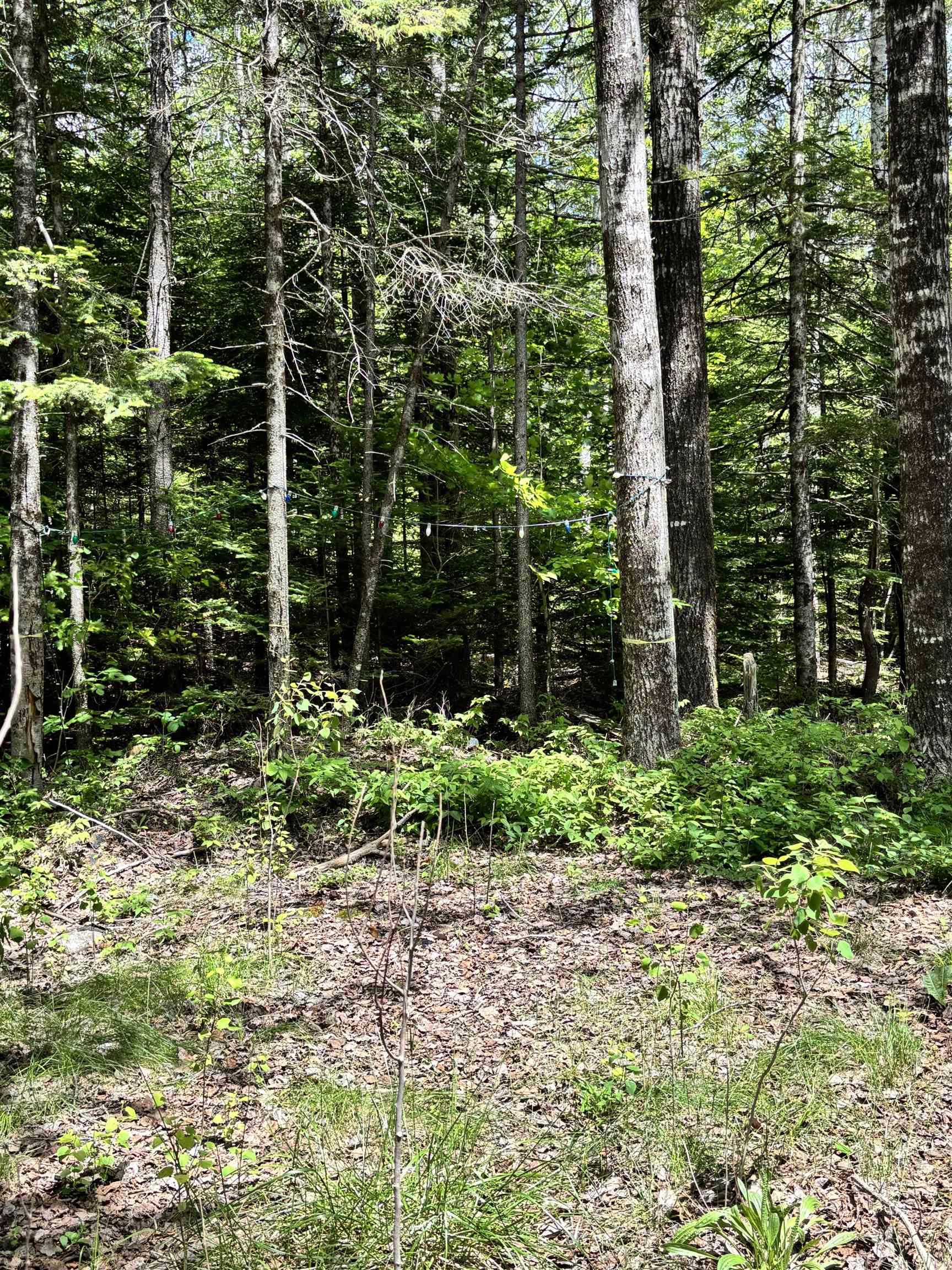 $79,900.00: 320 Charles Hill Road, Farmington