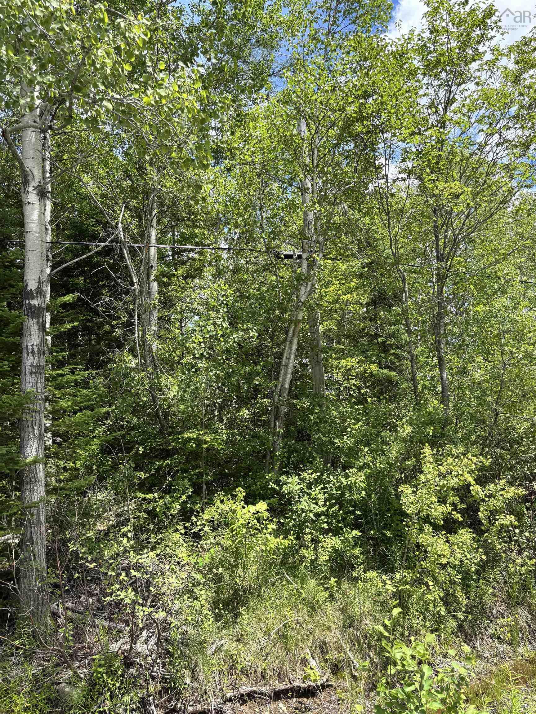 $79,900.00: 320 Charles Hill Road, Farmington