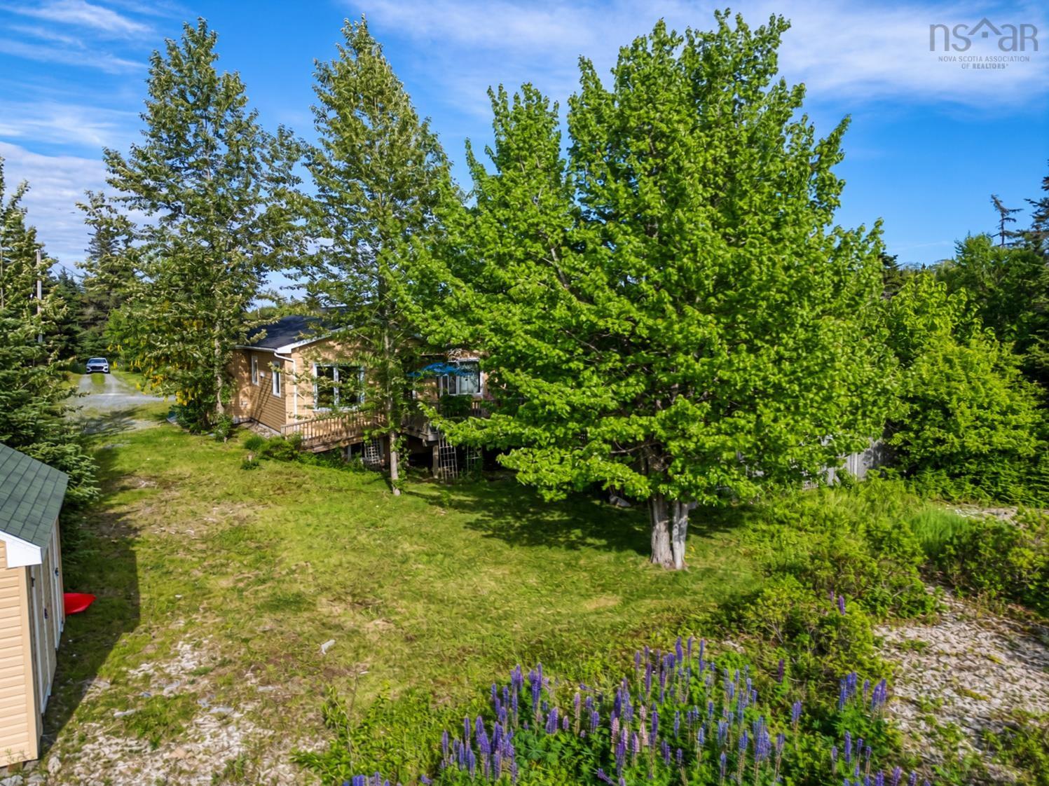 44 Bullfrog Lane, Bear Cove, NS (MLS 202616057)
