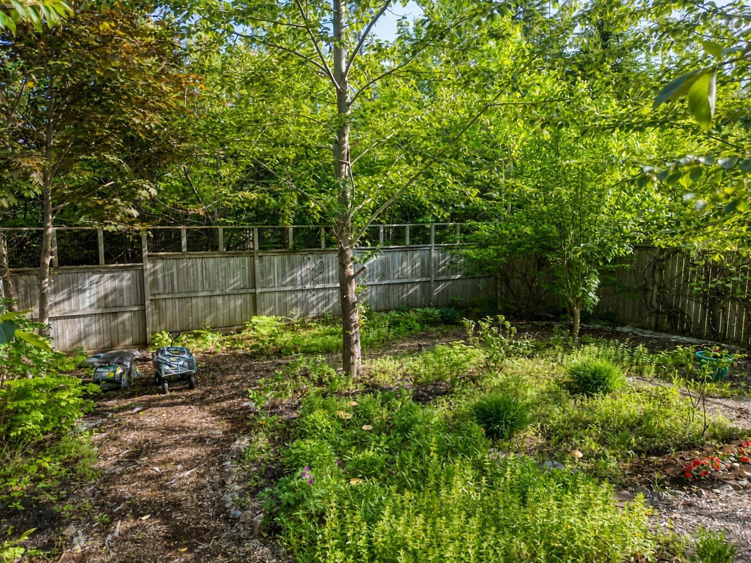 44 Bullfrog Lane, Bear Cove, NS (MLS 202616057)