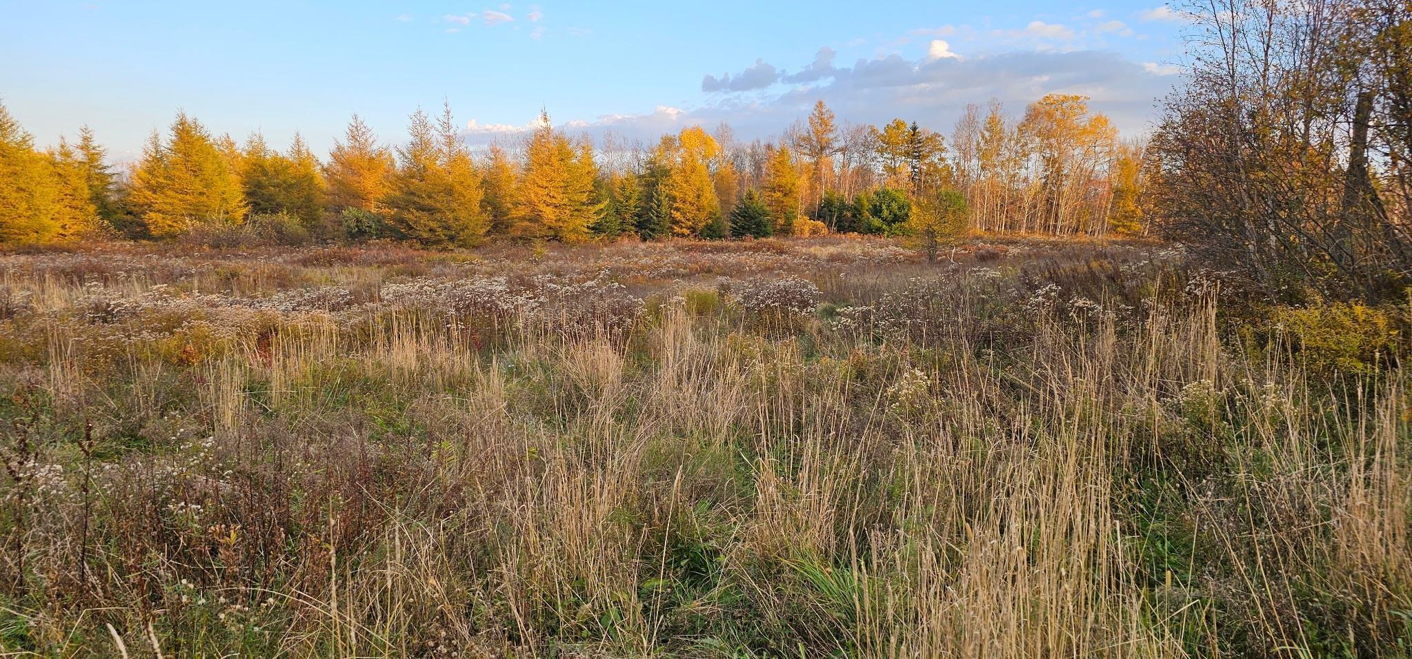 $109,900.00: 7888 Highway 354, North Noel Road