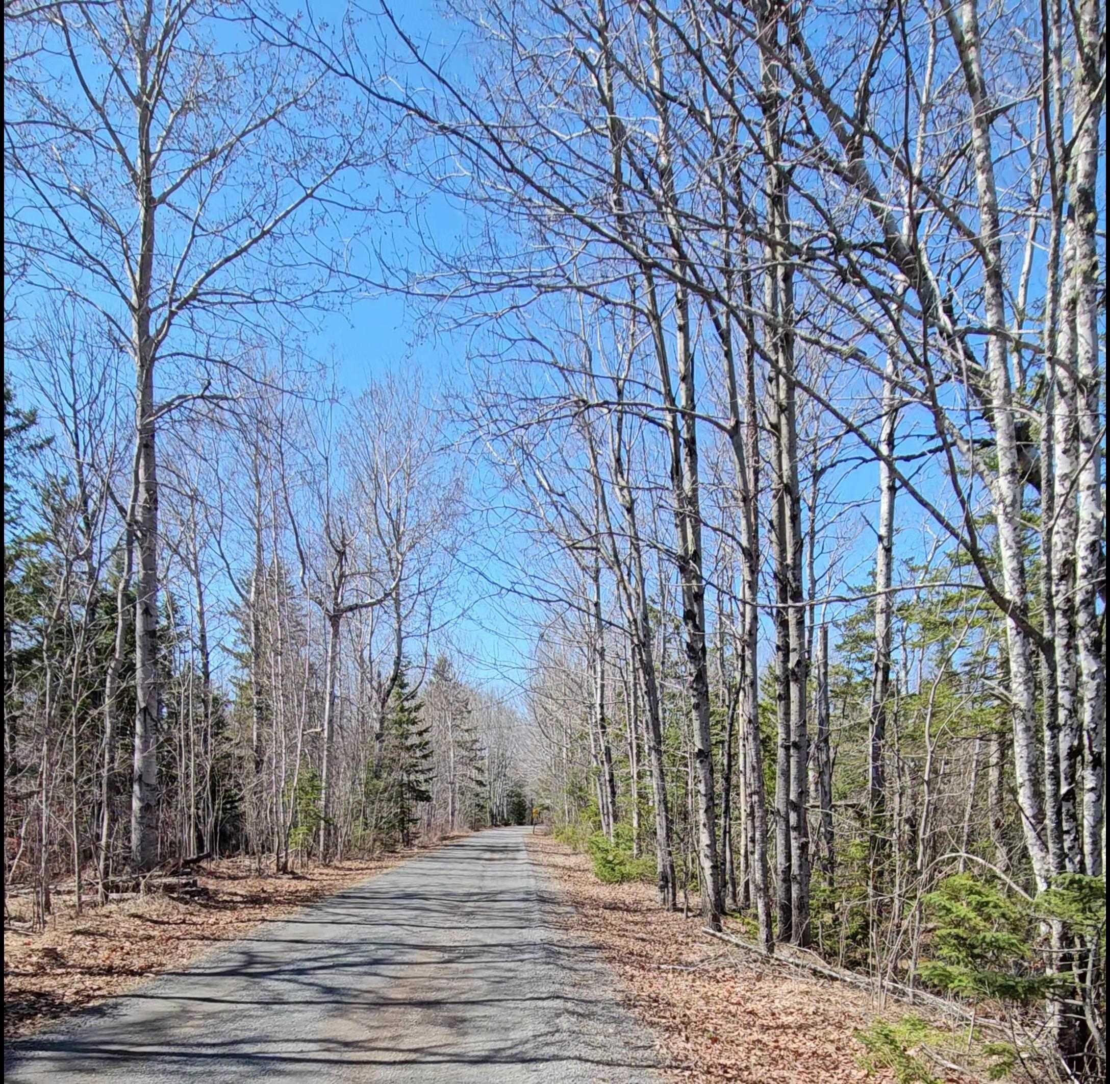 $25,000.00: Lot Siding Road, Bayhead