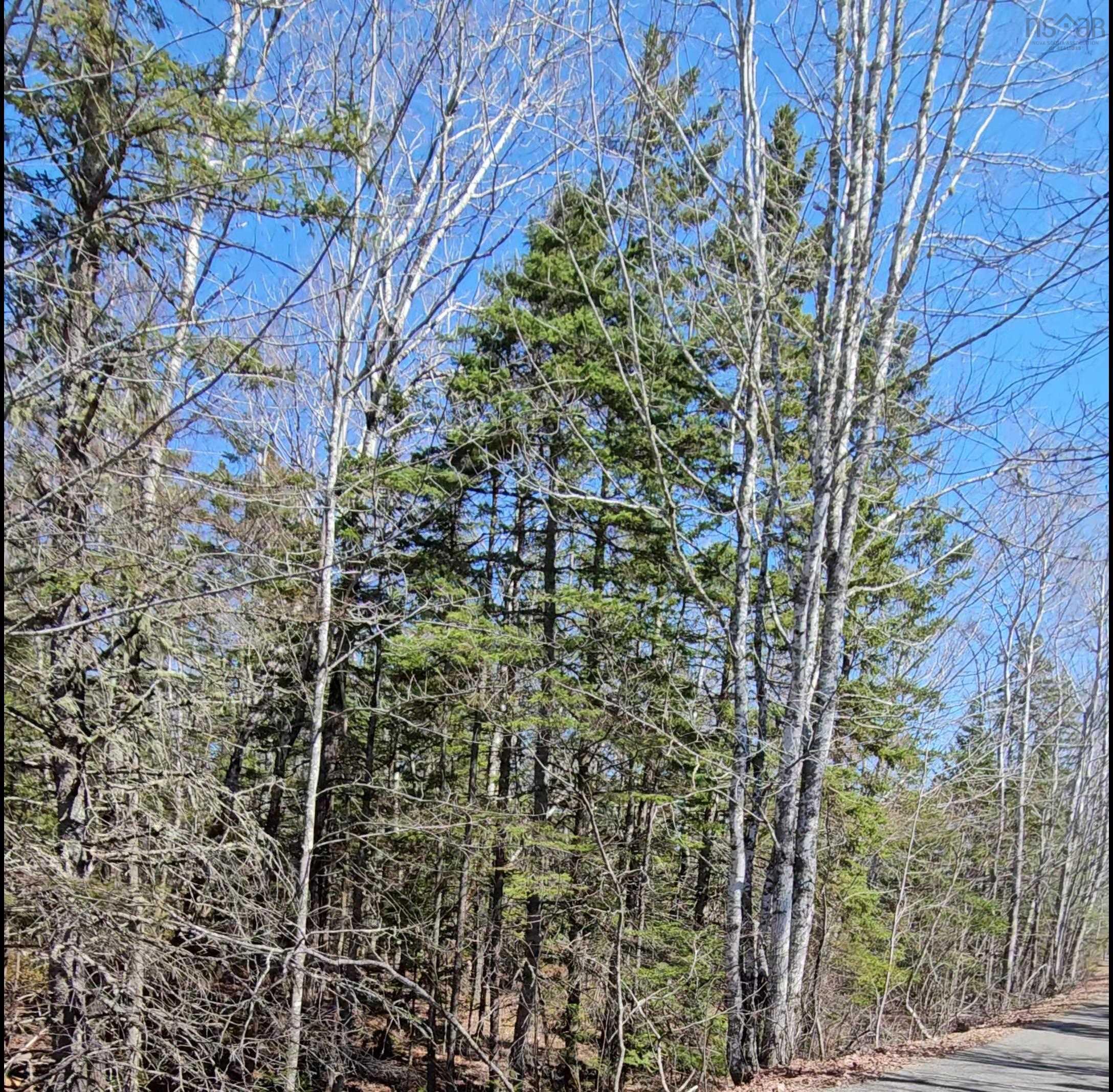 $25,000.00: Lot Siding Road, Bayhead