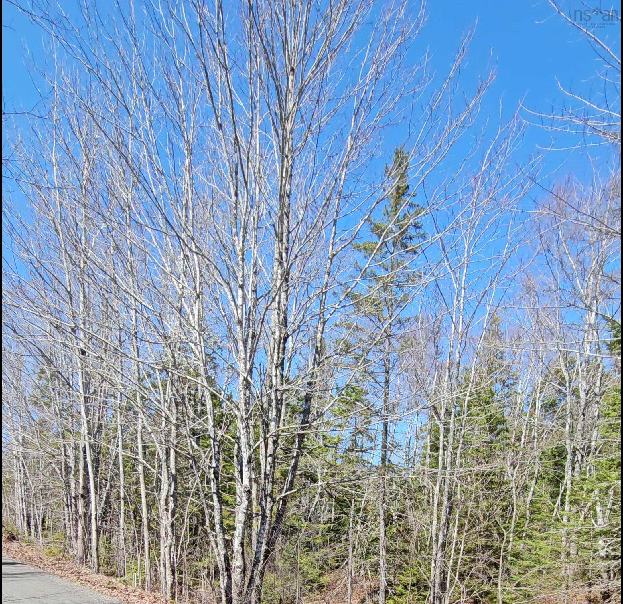 $25,000.00: Lot Siding Road, Bayhead